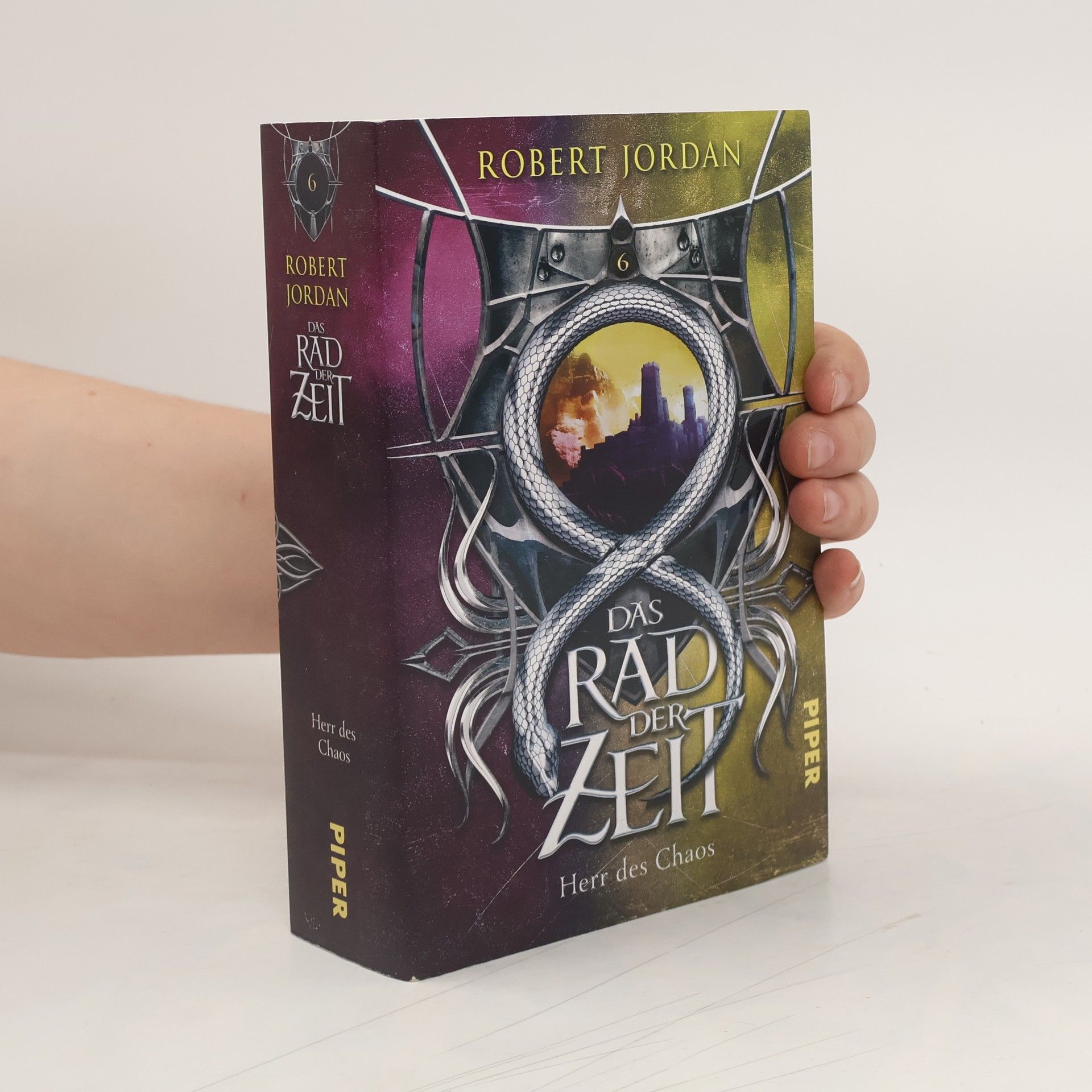 Robert Jordan Das Rad der Zeit 6