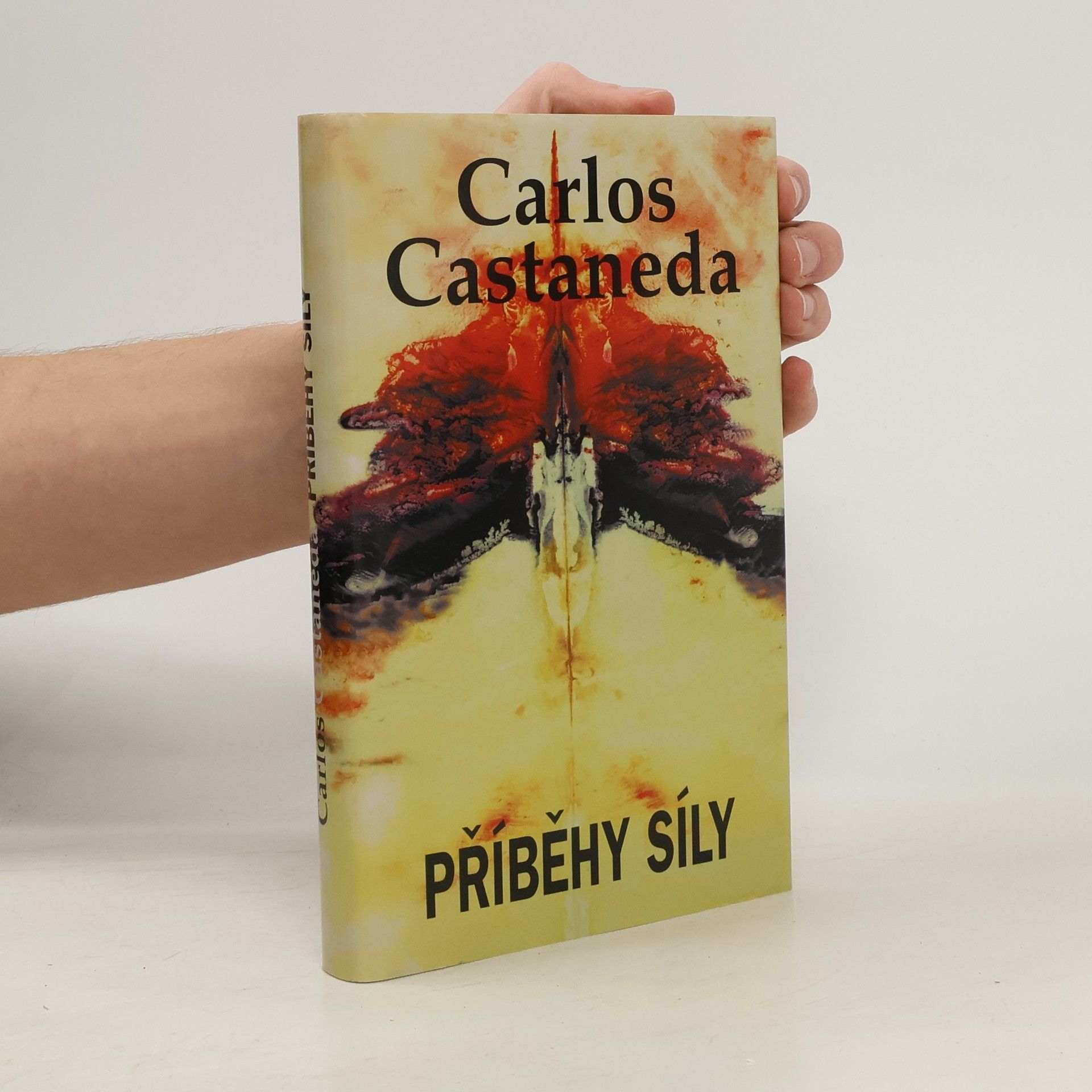 Carlos Castaneda Příběhy síly
