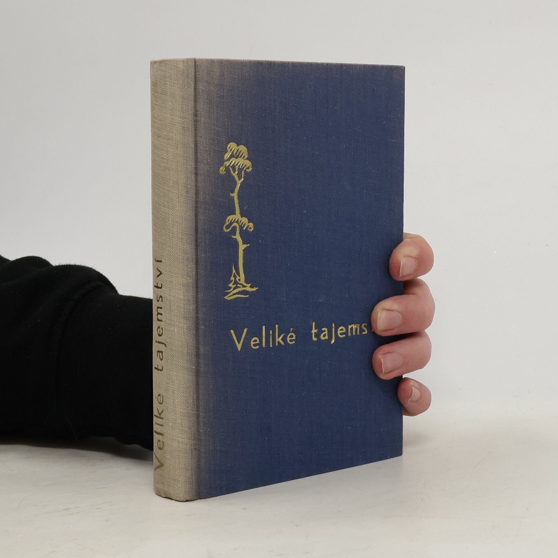 Veliké tajemství