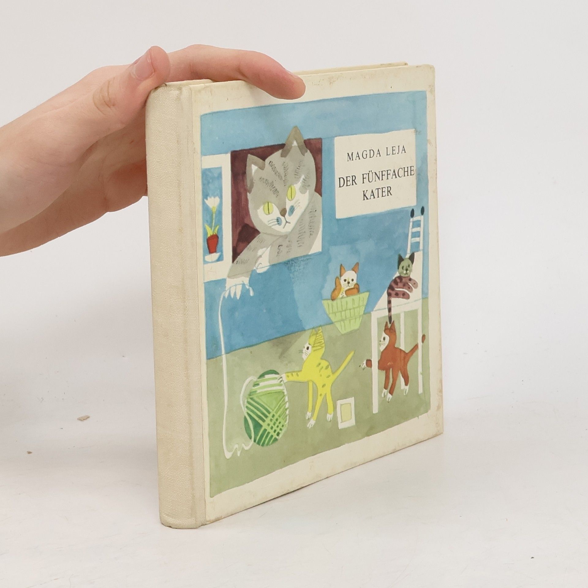 Magda Leja Der fünffache Kater