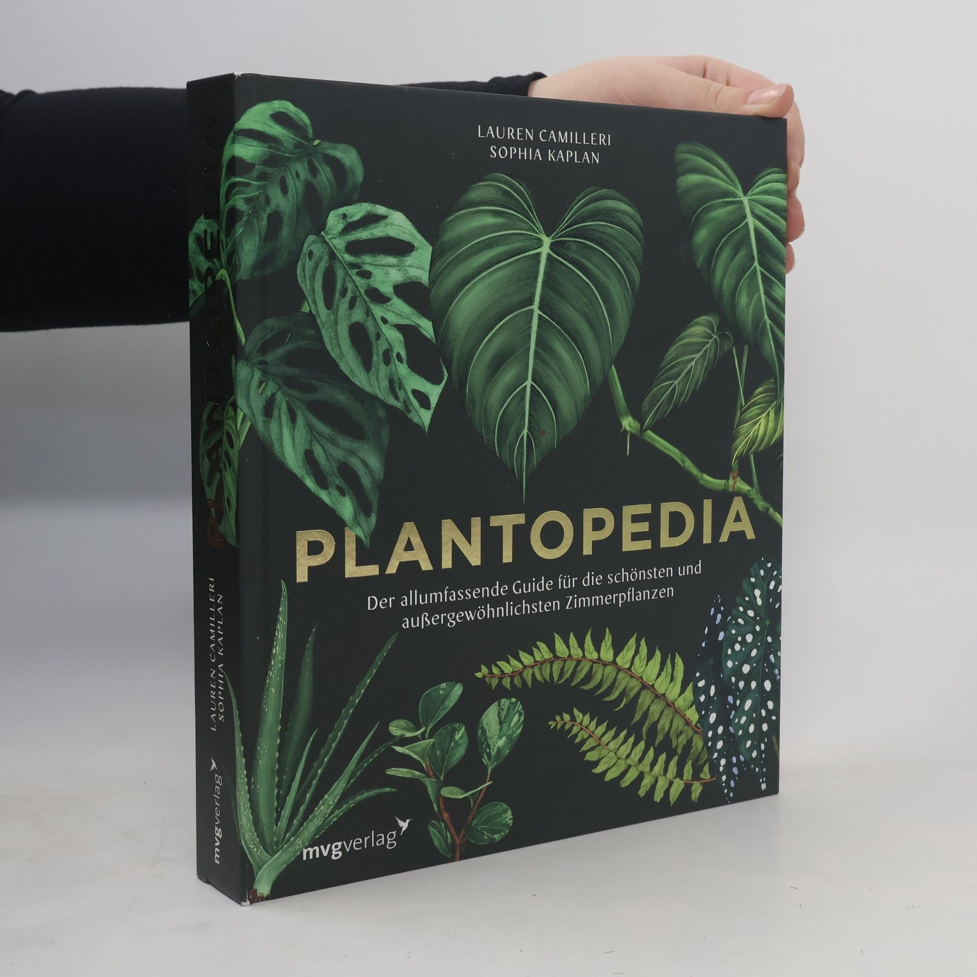 Lauren Camilleri Plantopedia. Der allumfassende Guide für die schönsten und außergewöhnlichsten Zimmerpflanzen. Alles, was du zum Pflegen und Lieben deiner Pflanzen wissen musst