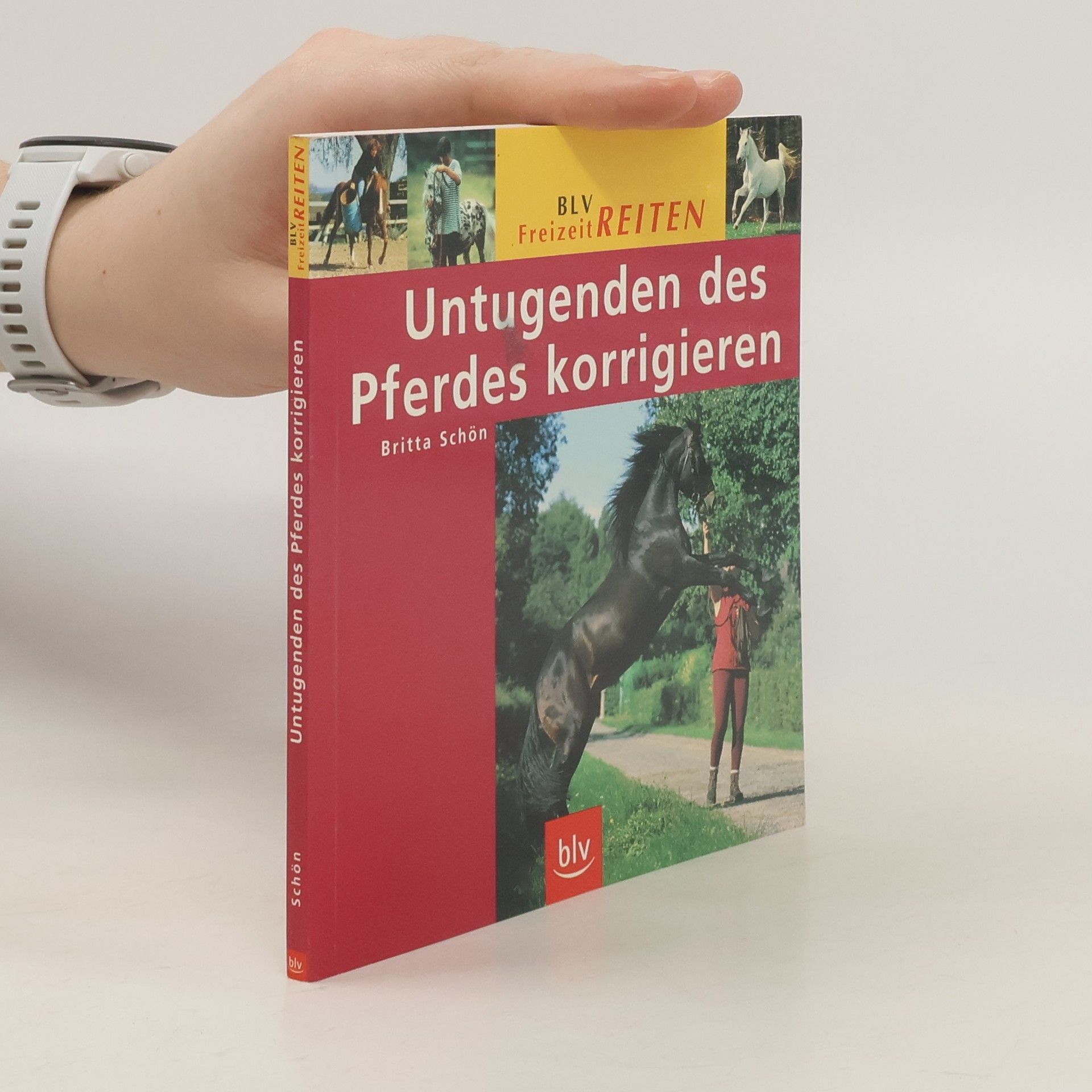 Britta Schön Untugenden des Pferdes korrigieren