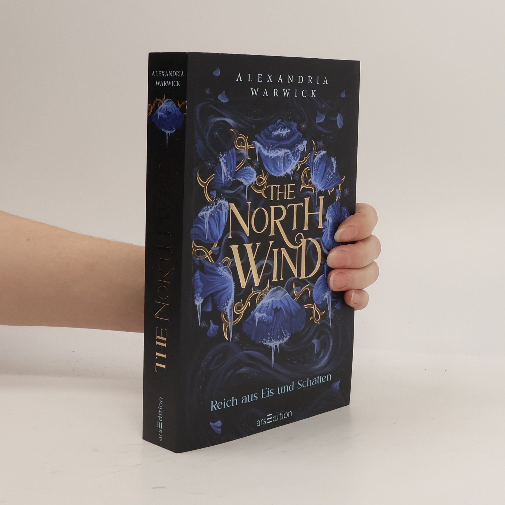 Alexandria Warwick The North Wind - Reich aus Eis und Schatten