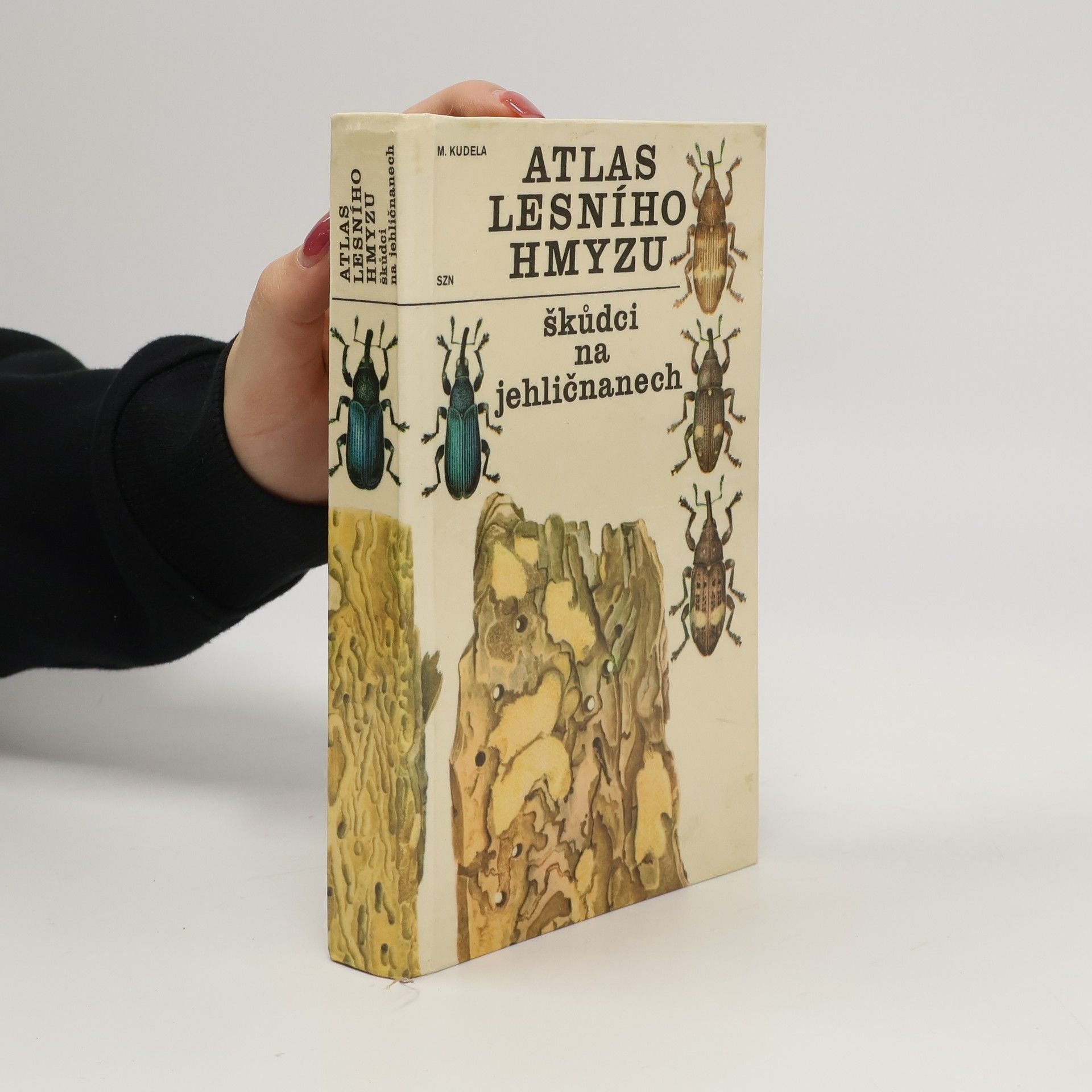 M. Kudela Atlas lesního hmyzu. Škůdci na jehličnanech