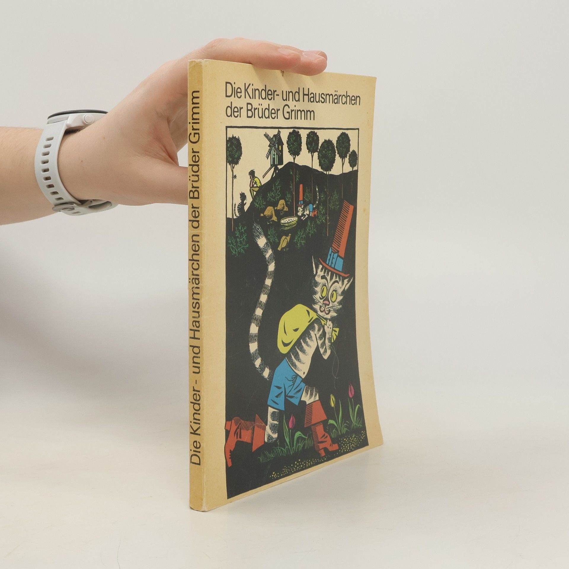 bratři Grimmové Die Kinder- und Hausmärchen der Brüder Grimm