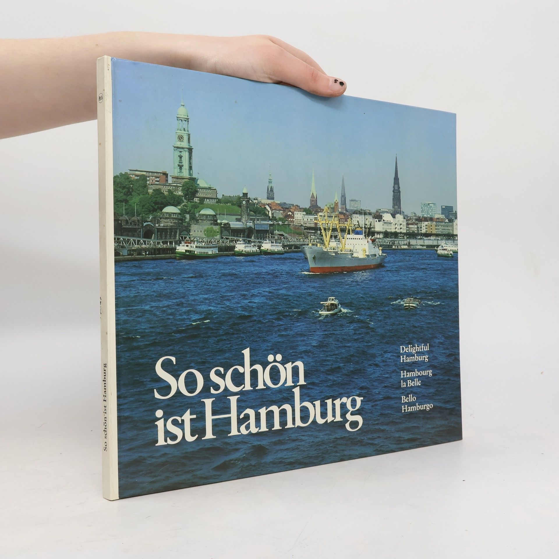 Kolektív autorov So schön ist Hamburg