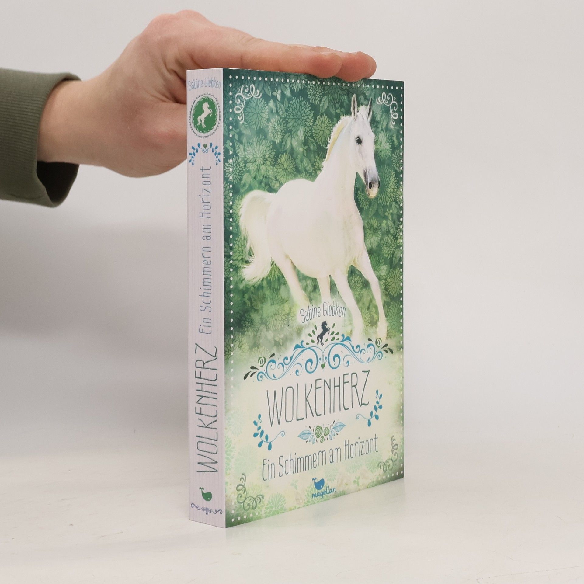 Sabine Giebken Wolkenherz - Ein Schimmern am Horizont