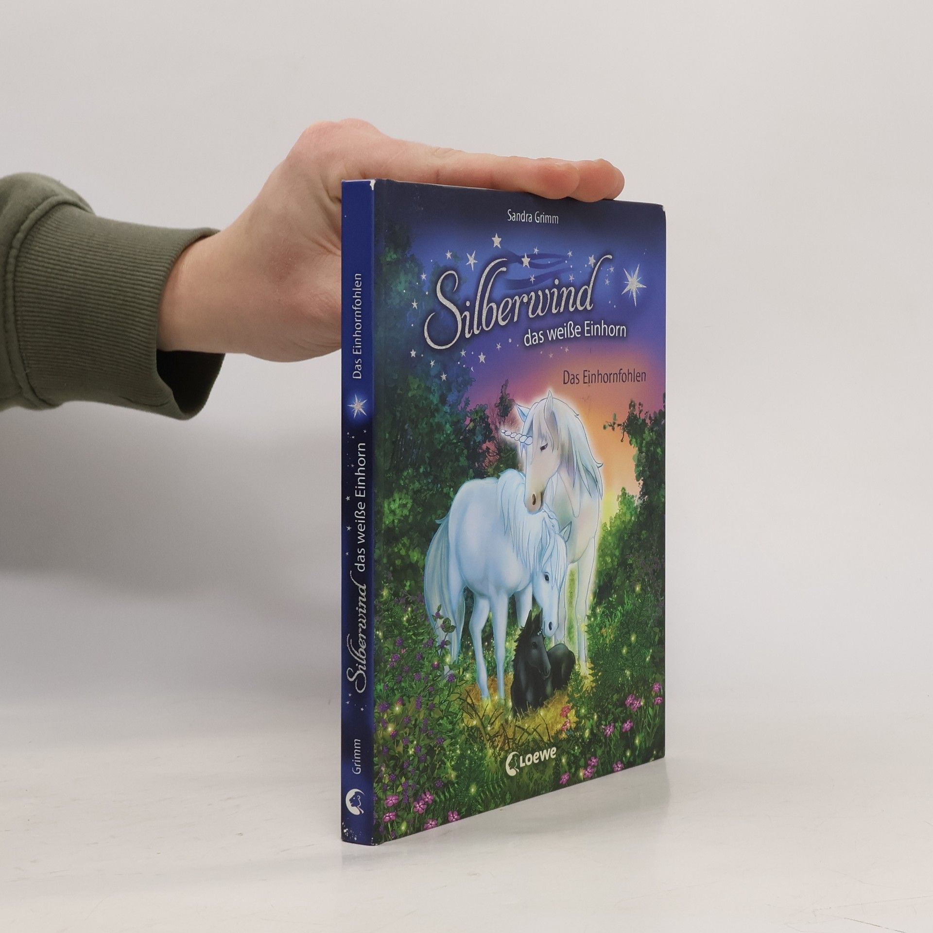 Sandra Grimm Das Einhornfohlen