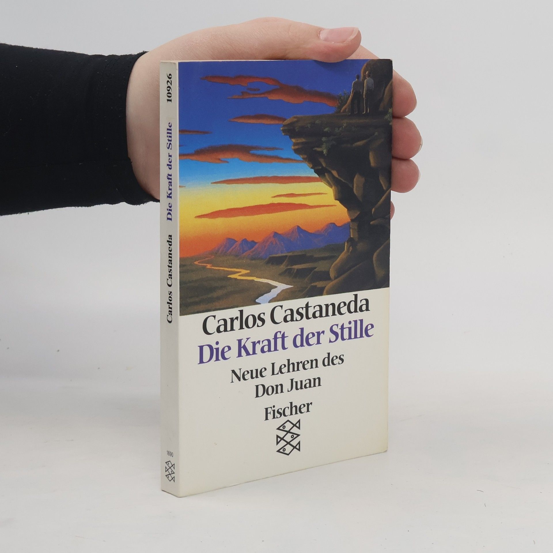 Carlos Castañeda Die Kraft der Stille