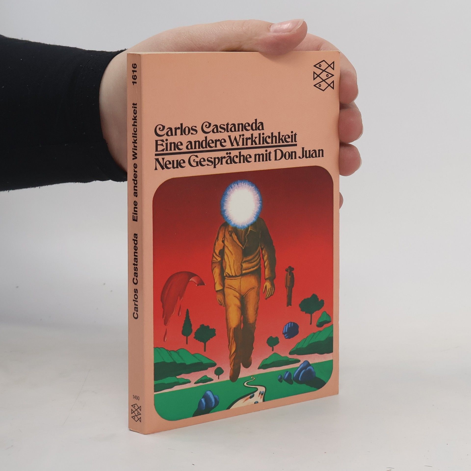 Carlos Castañeda Eine andere Wirklichkeit