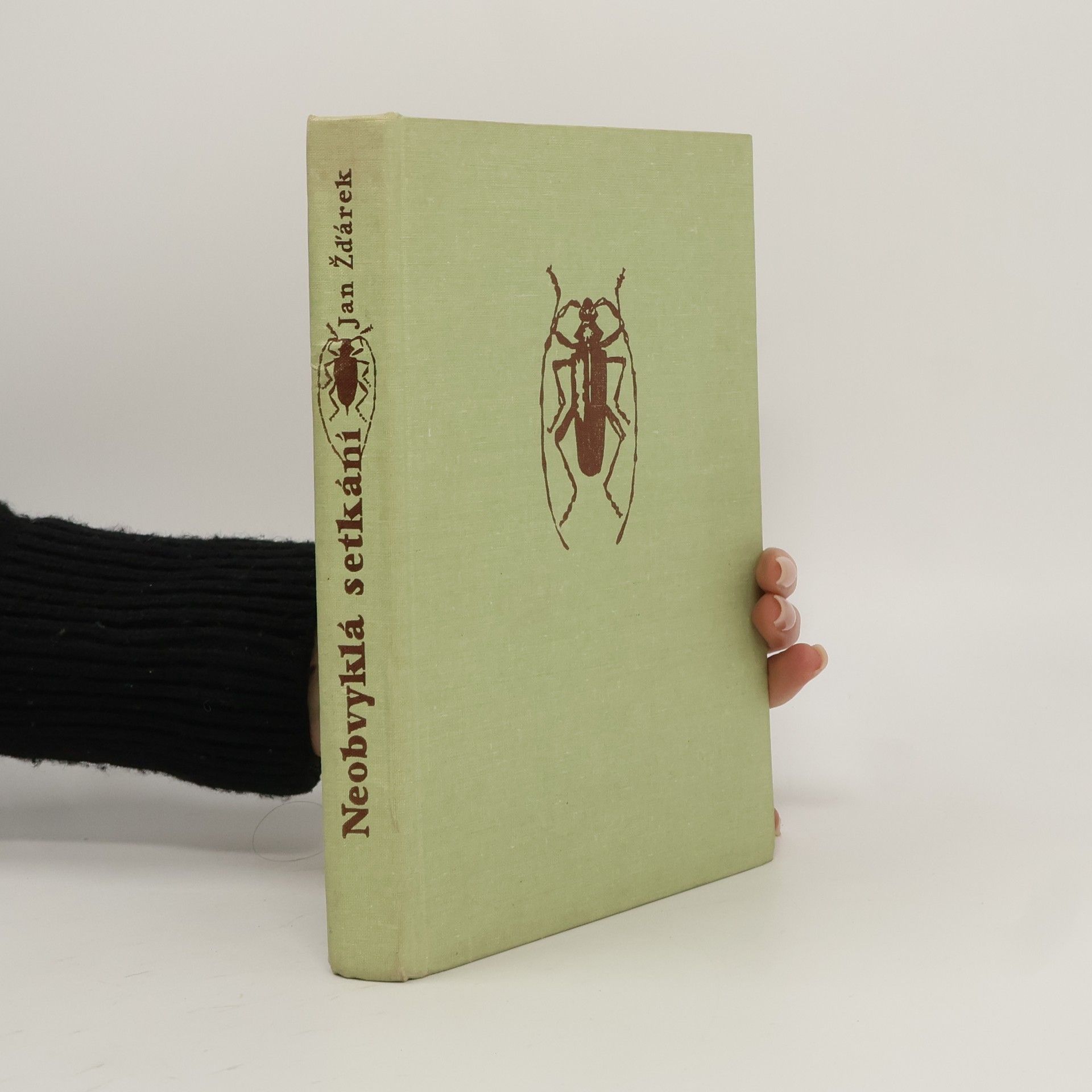 Neobvyklá setkání