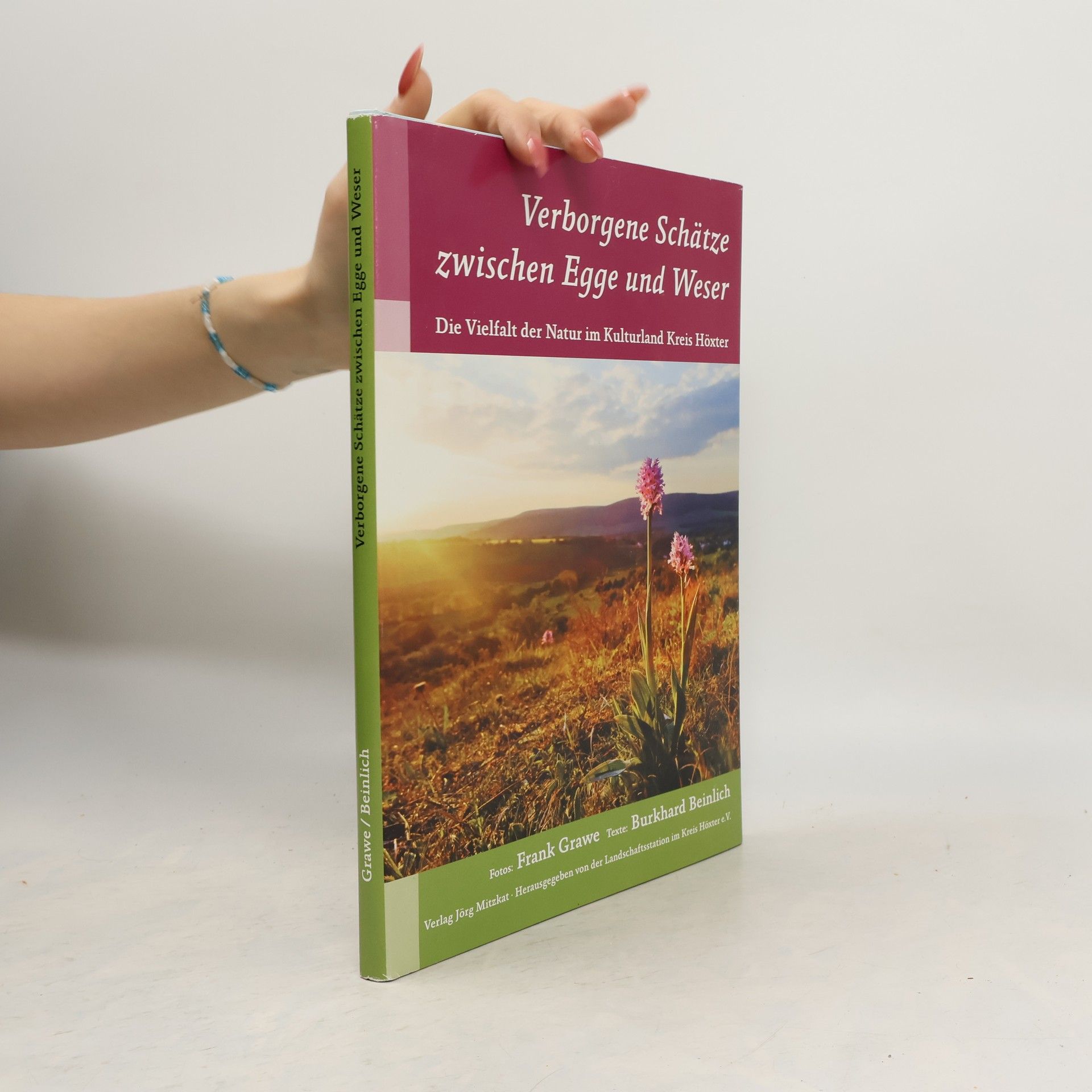 Verborgene Schätze zwischen Egge und Weser