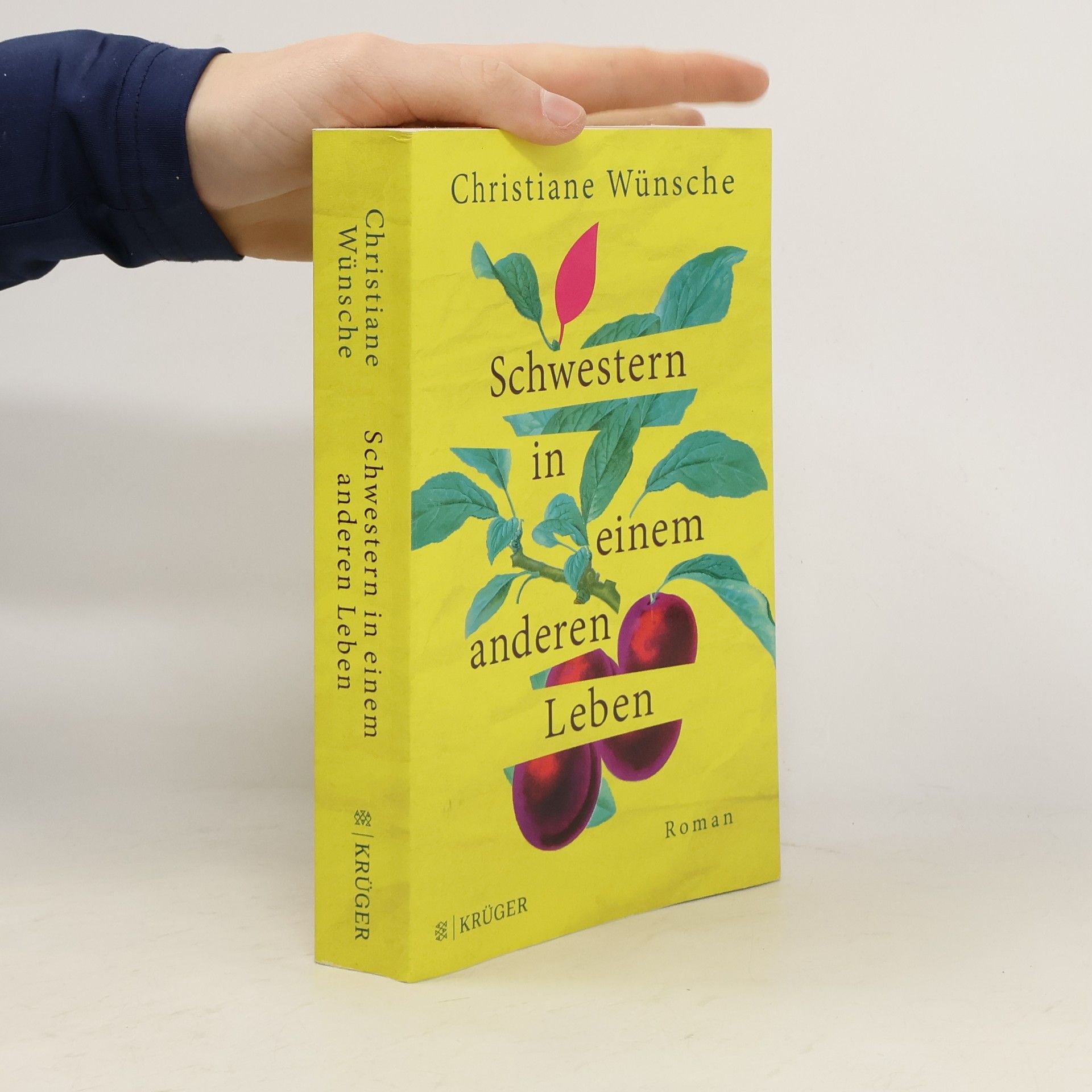 Schwestern in einem anderen Leben