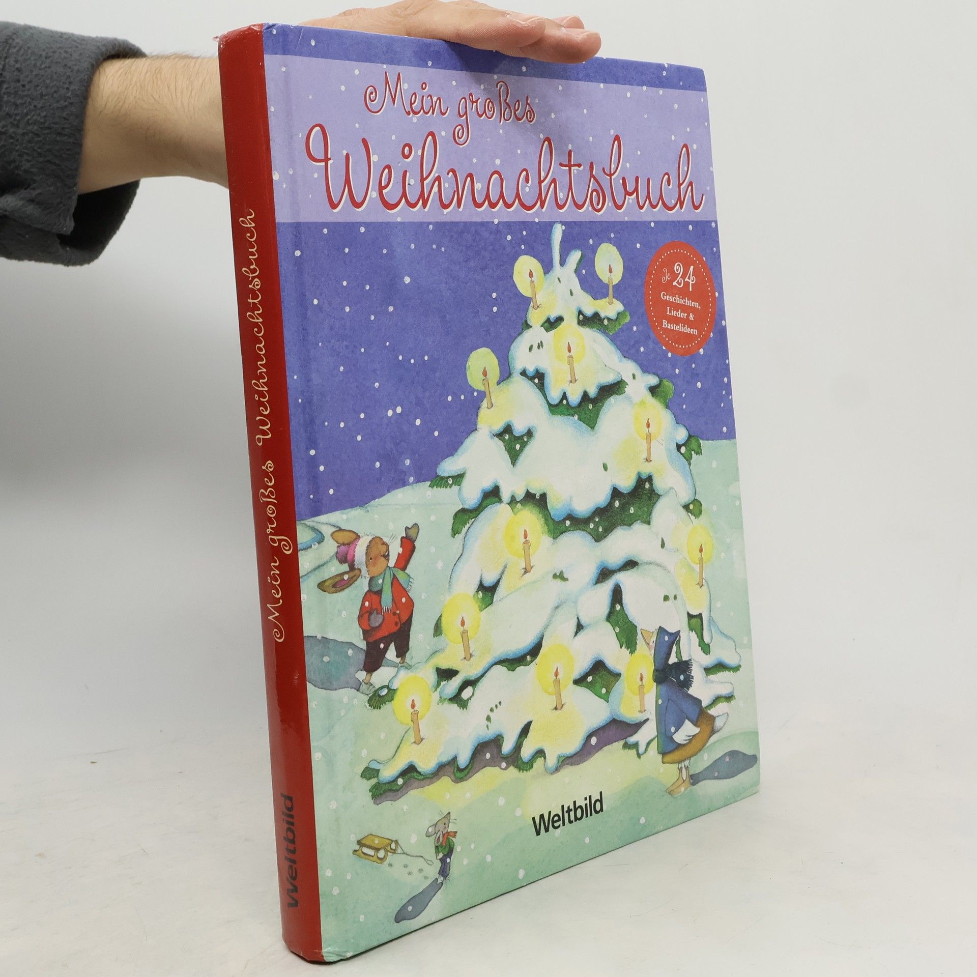 Mein großes Weihnachtsbuch