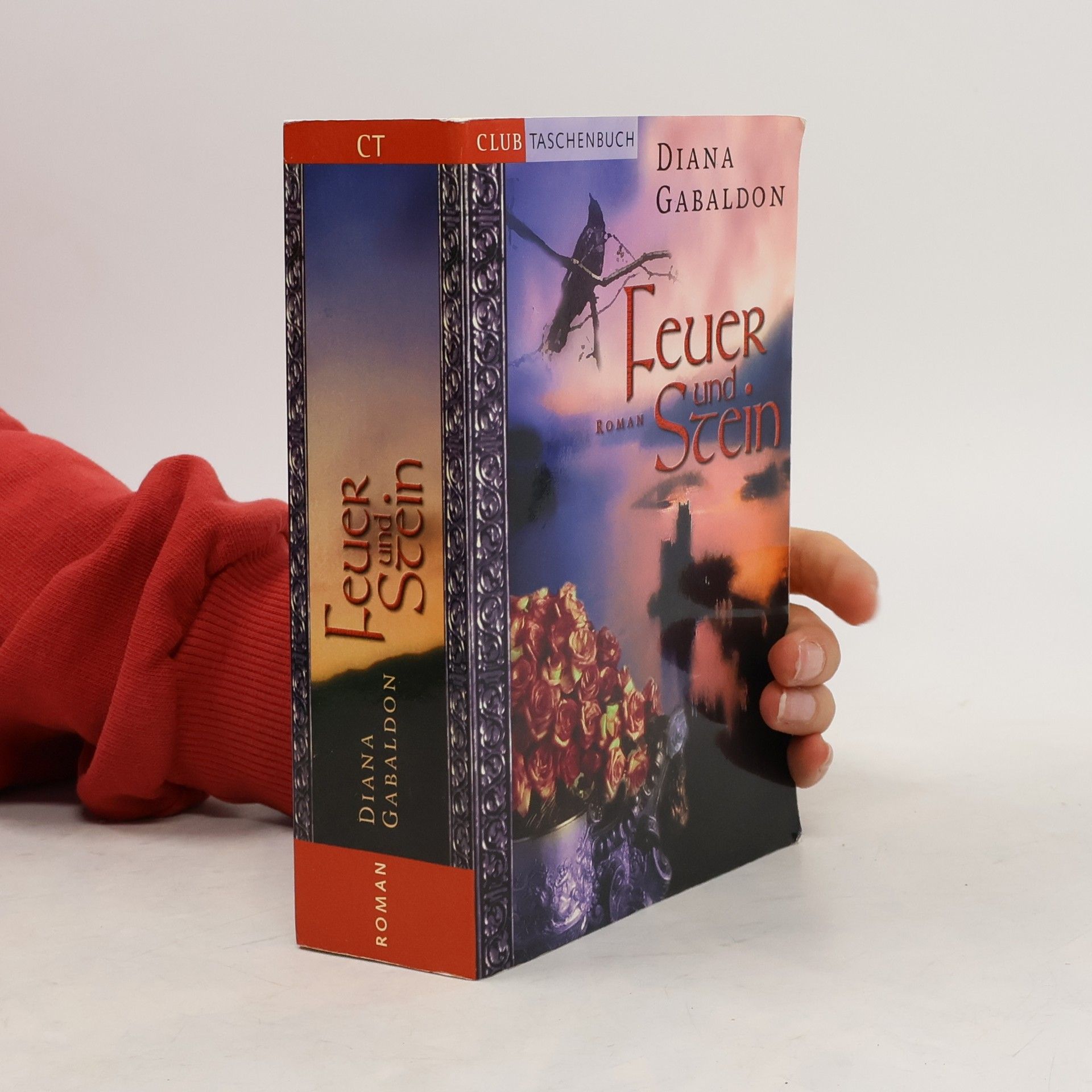 Diana Gabaldon Feuer und Stein