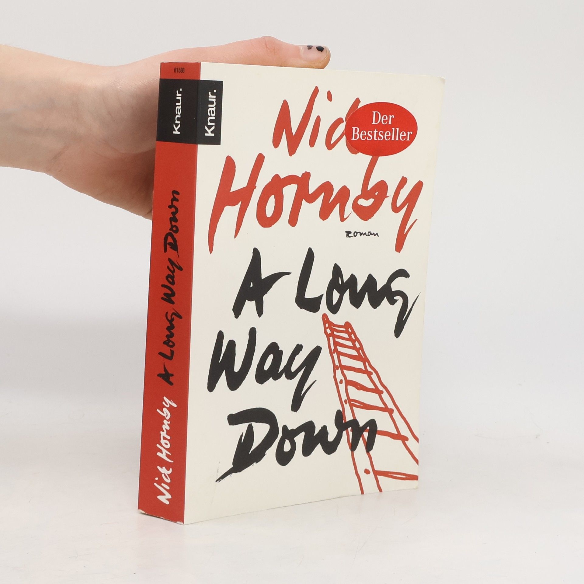 Nick Hornby A long way down
