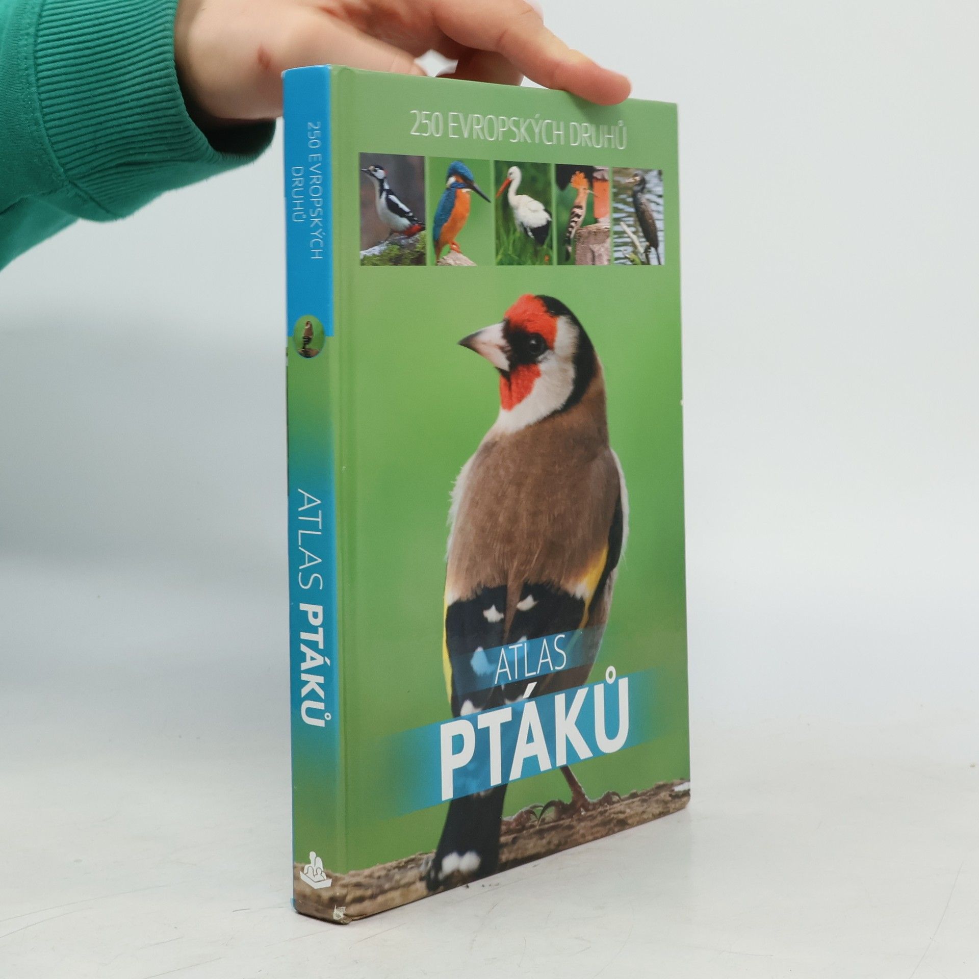 Dominik Marchowski Atlas ptáků : 250 evropských druhů