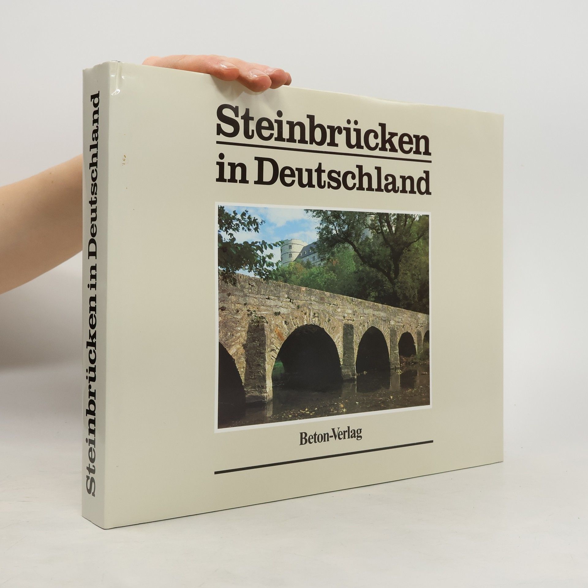 Autores varios Steinbrücken in Deutschland