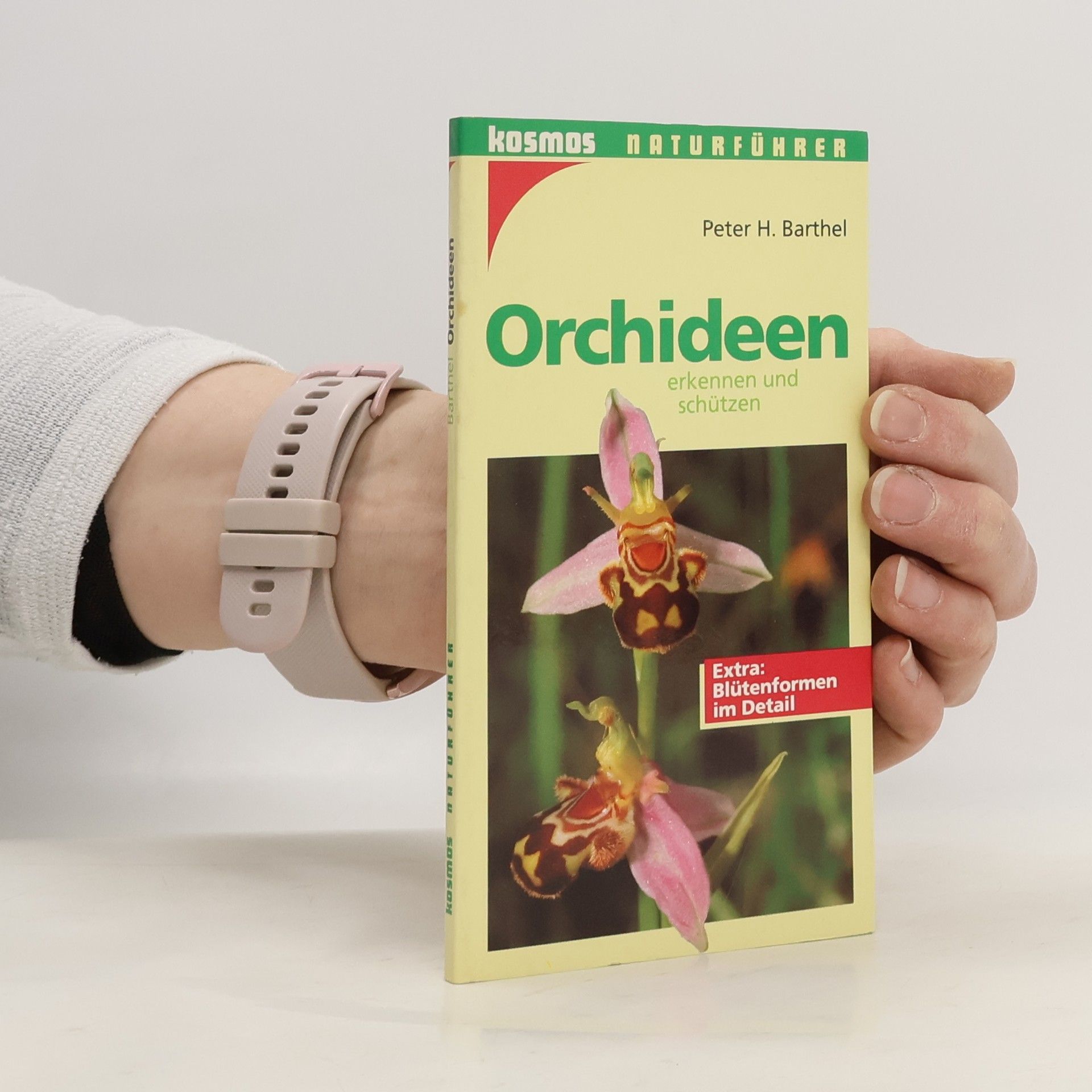 P. H. Barthel Orchideen