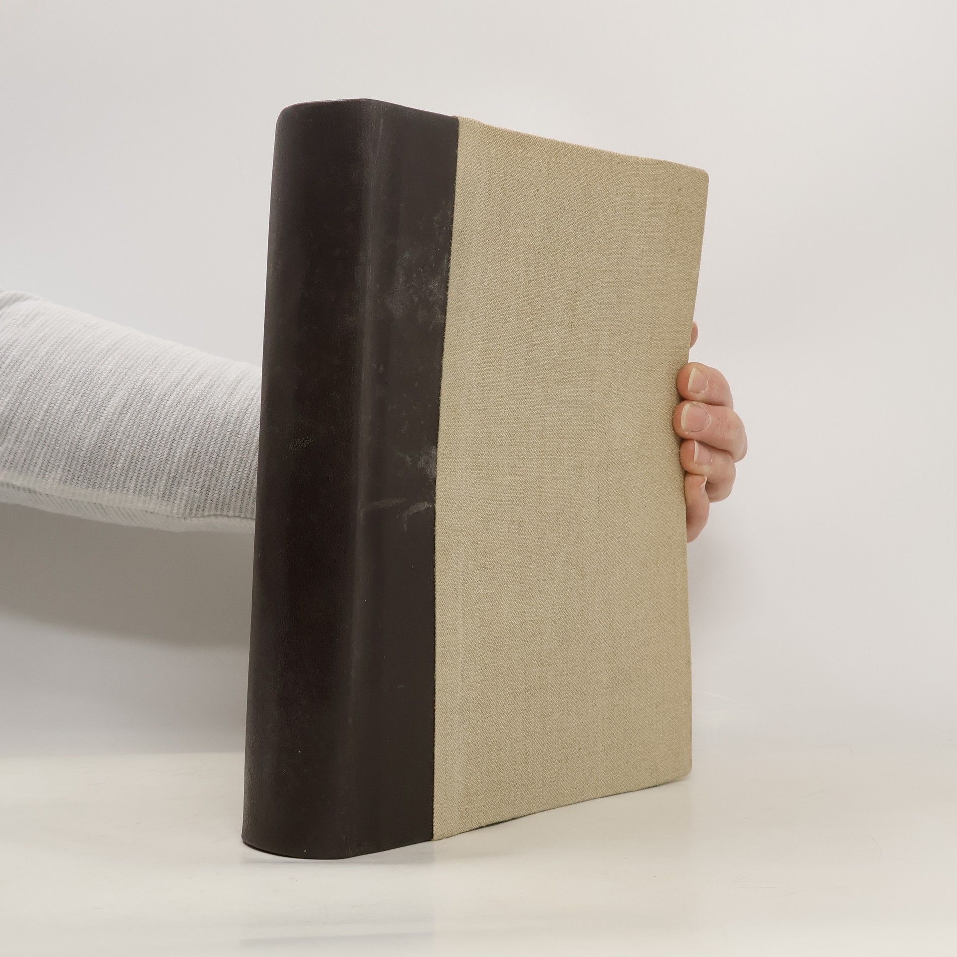 Jules Amann Flore des Mousses de la Suisse