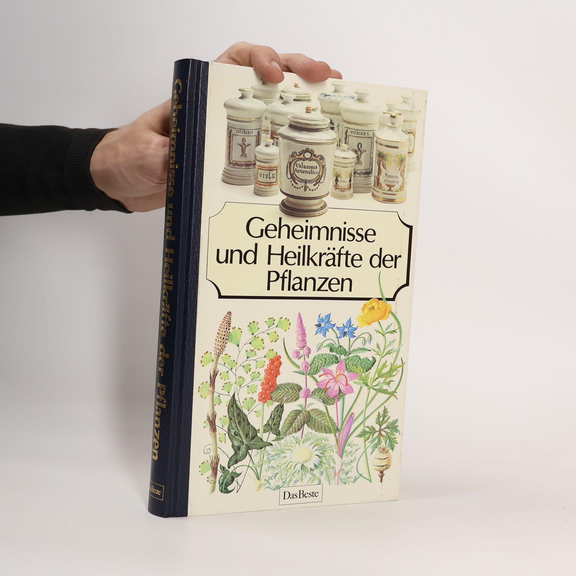 Autorenkollektiv Geheimnisse und Heilkräfte der Pflanzen