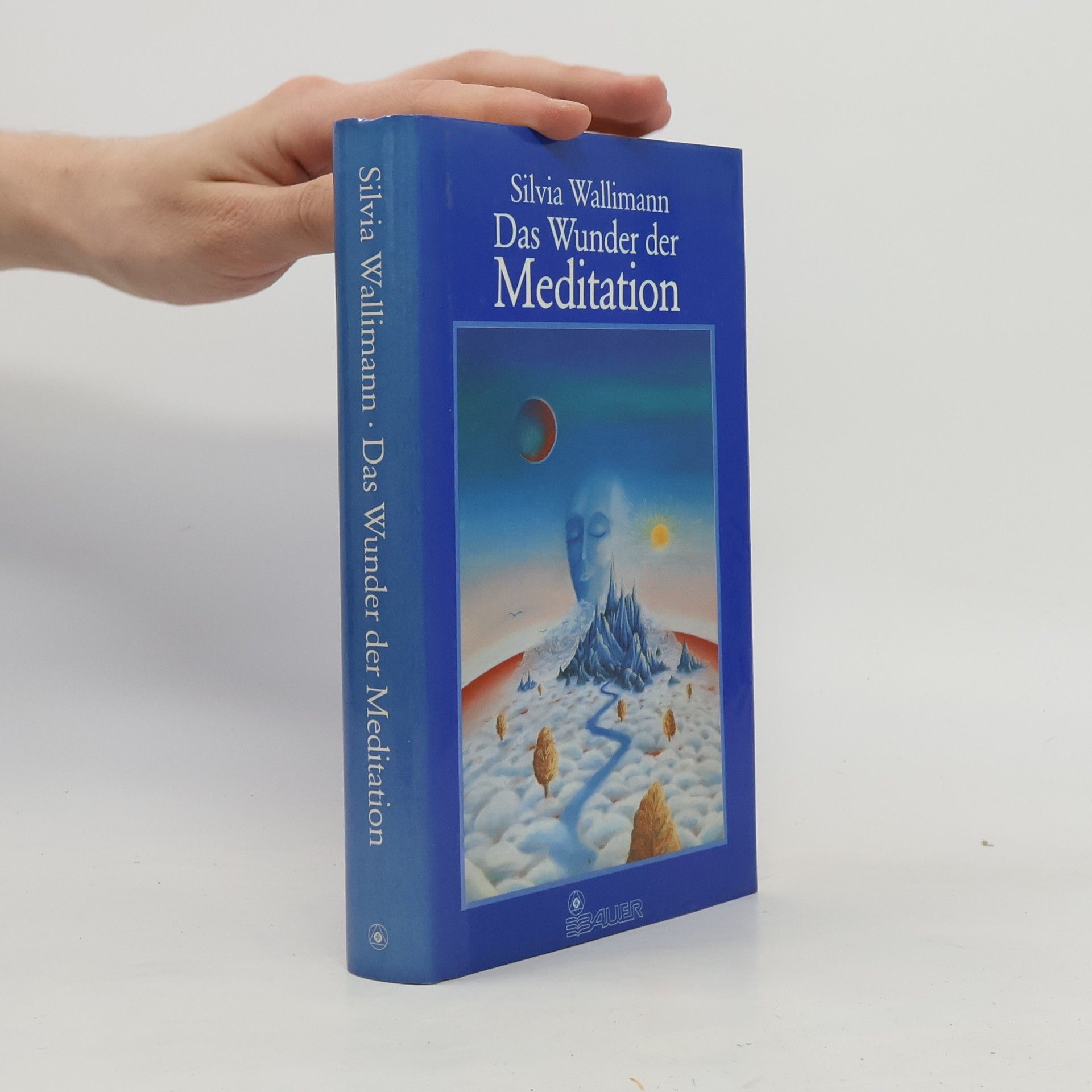 Silvia Wallimann Das Wunder der Meditation
