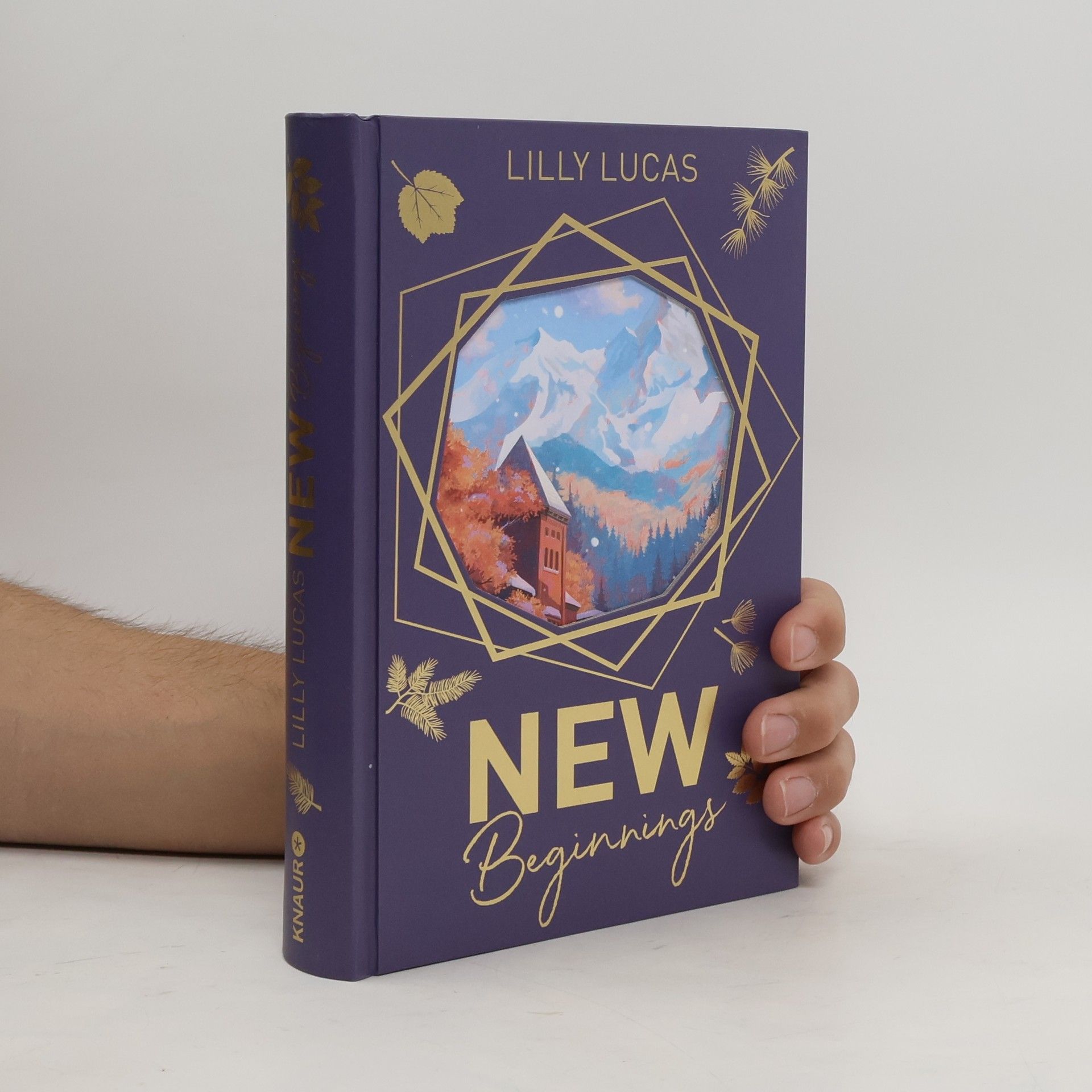 Lilly Lucas New Beginnings