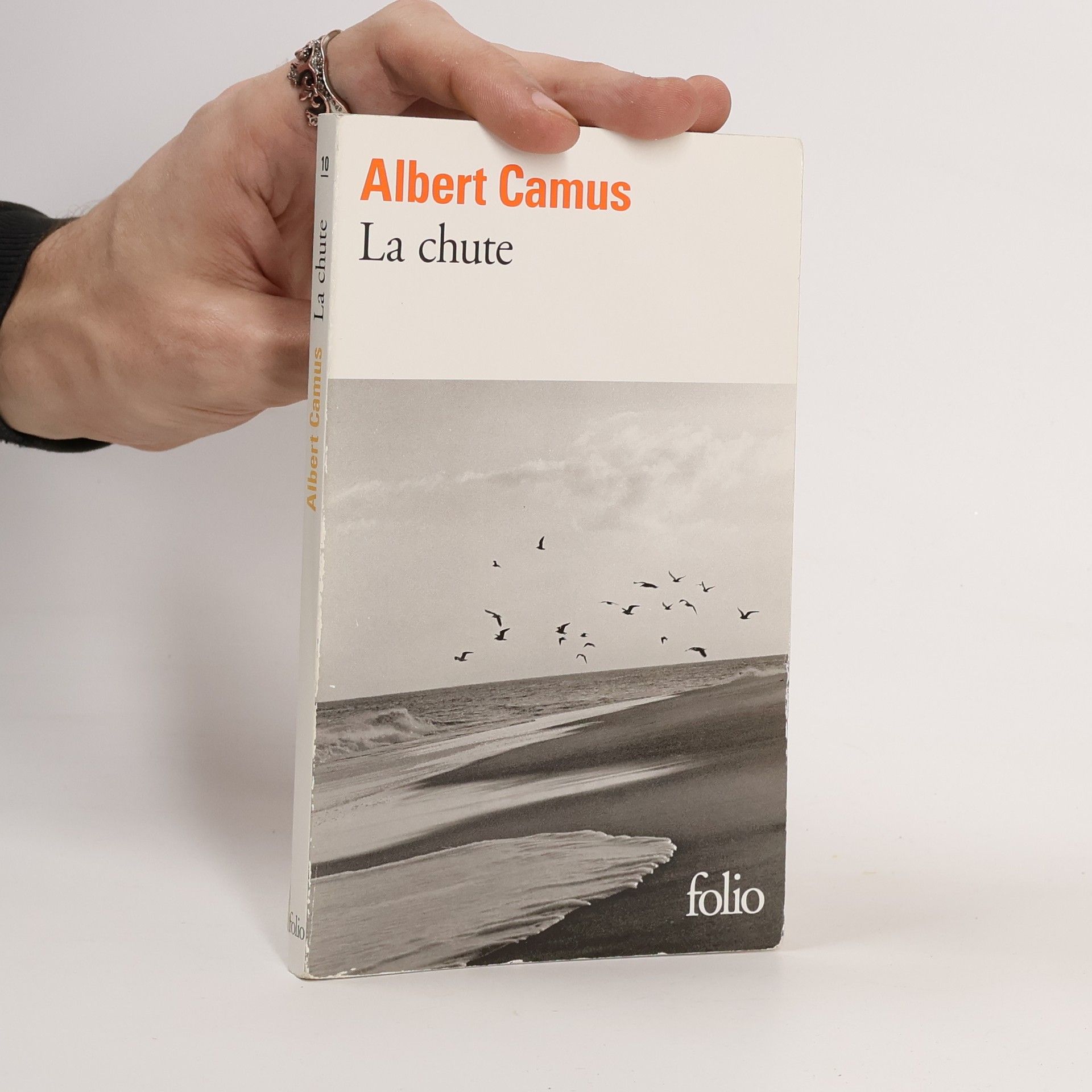 Albert Camus La chute