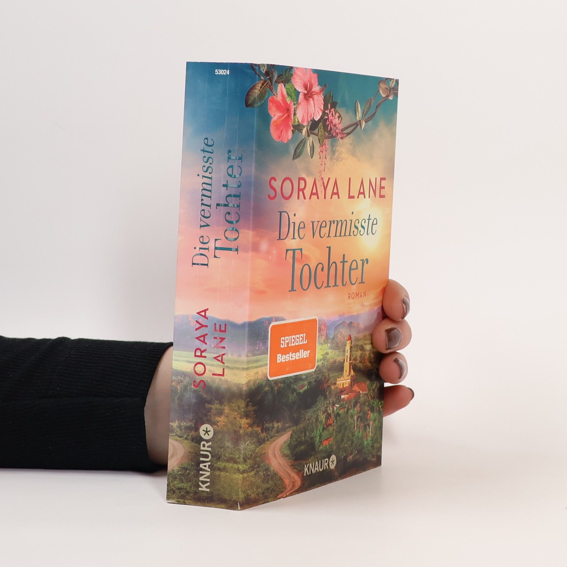 Soraya M. Lane Die vermisste Tochter