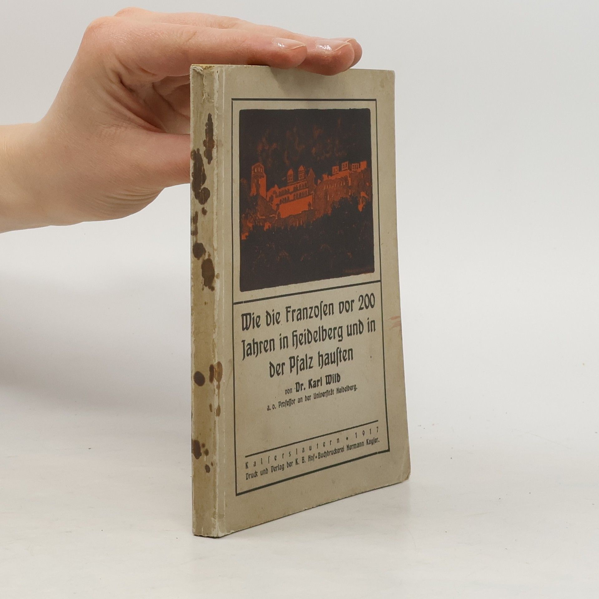 Wie die Franzosen vor 200 Jahren in Heidelberg und in der Pfalz hausten