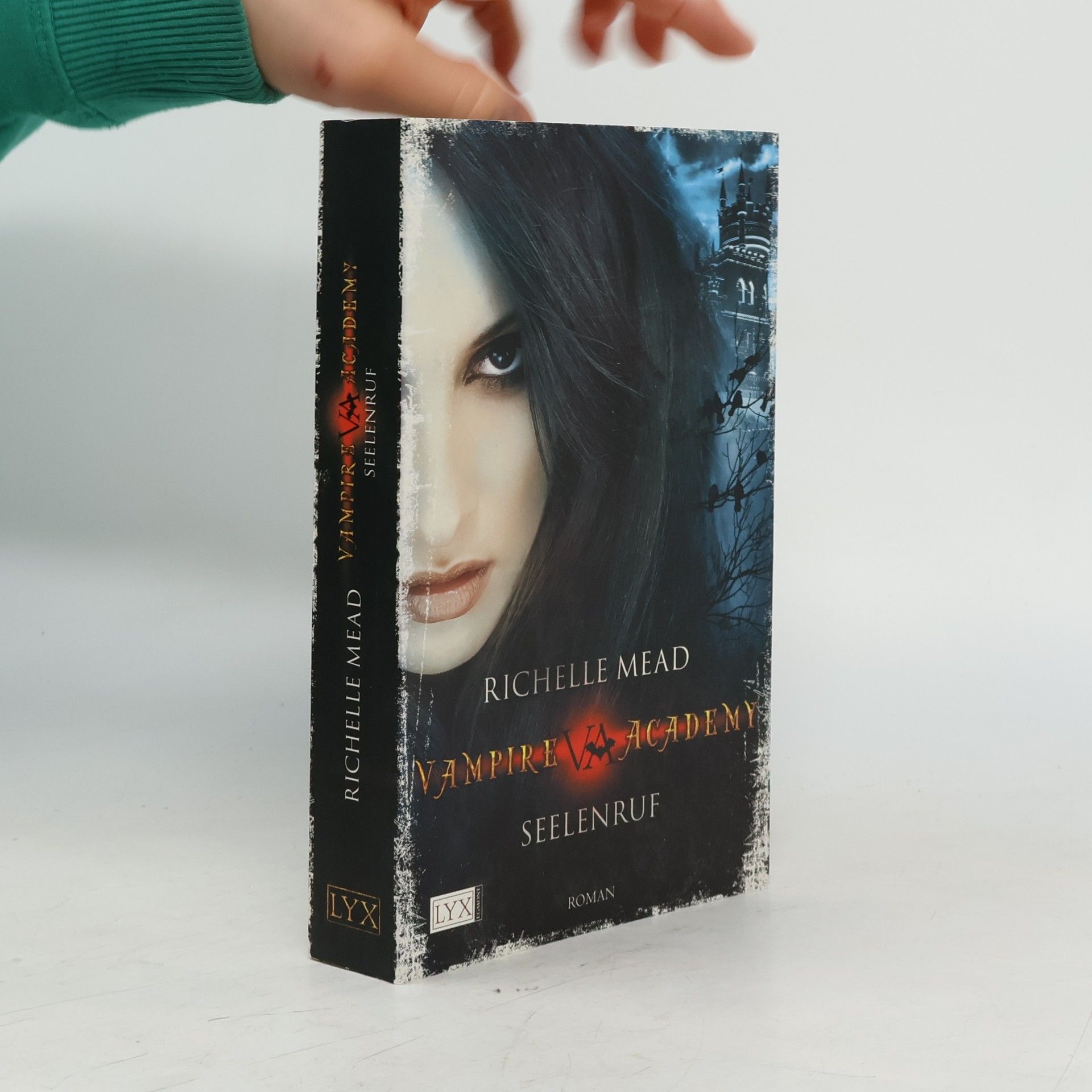 Richelle Mead Vampire Academy. Seelenruf