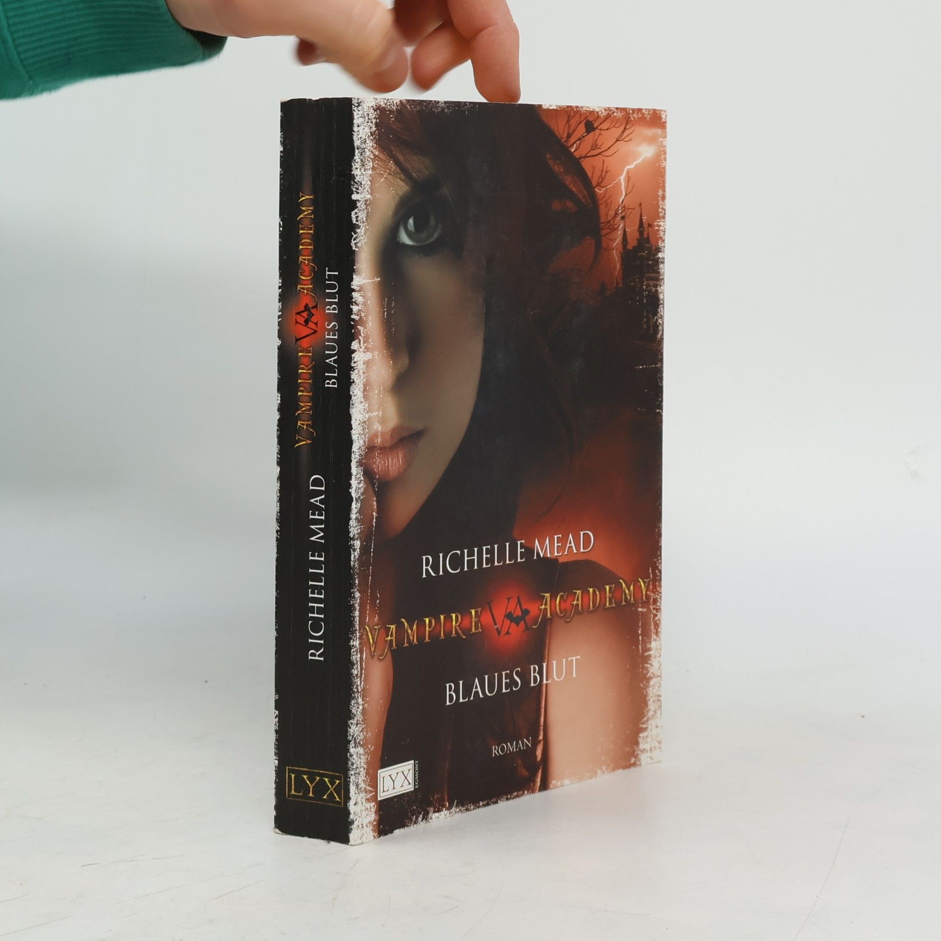 Richelle Mead Vampire Academy. Blaues Blut
