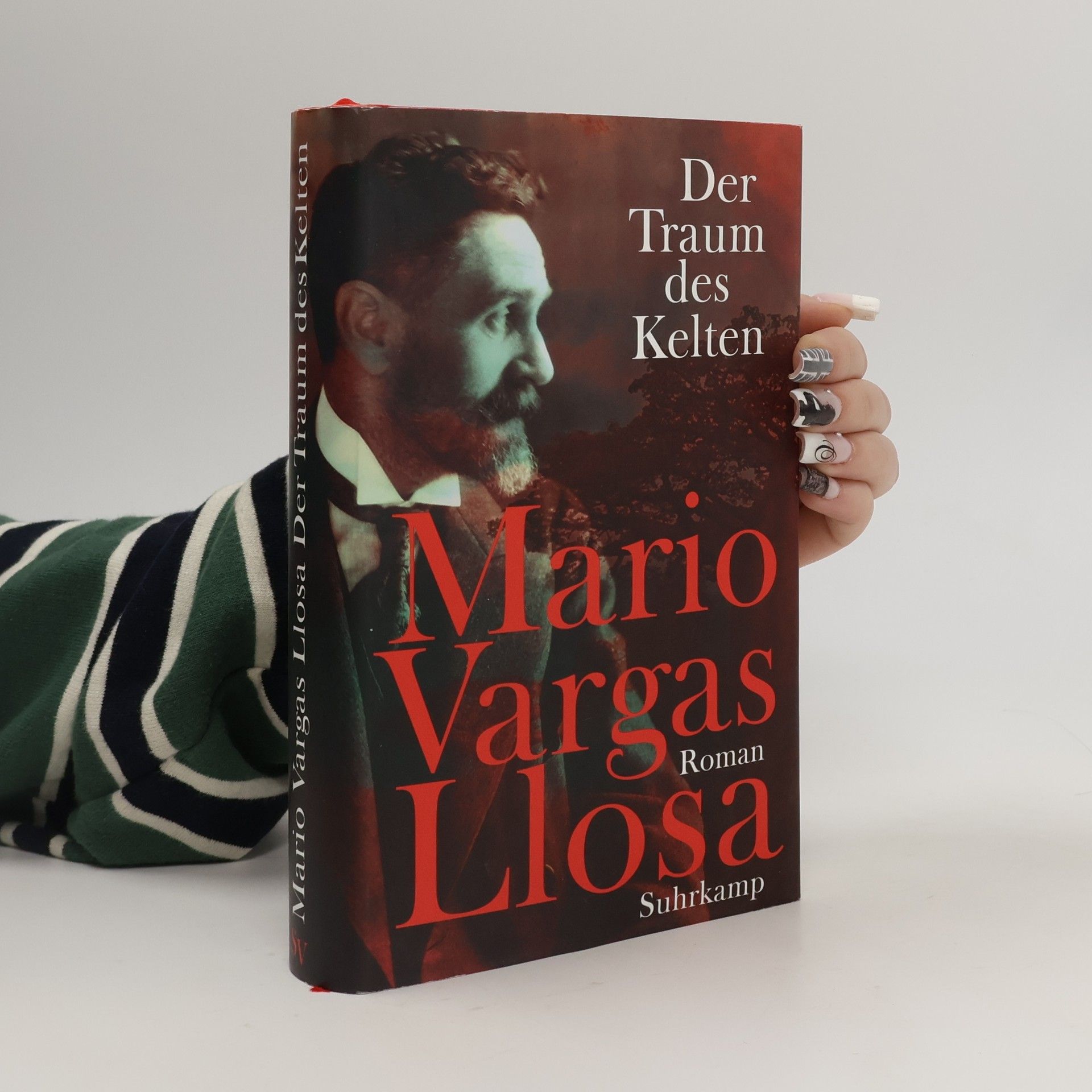 Mario Vargas Llosa Der Traum des Kelten
