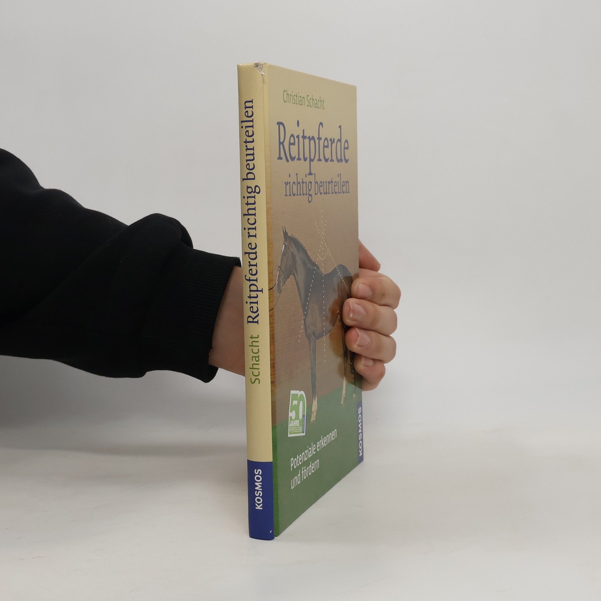 Reitpferde richtig beurteilen