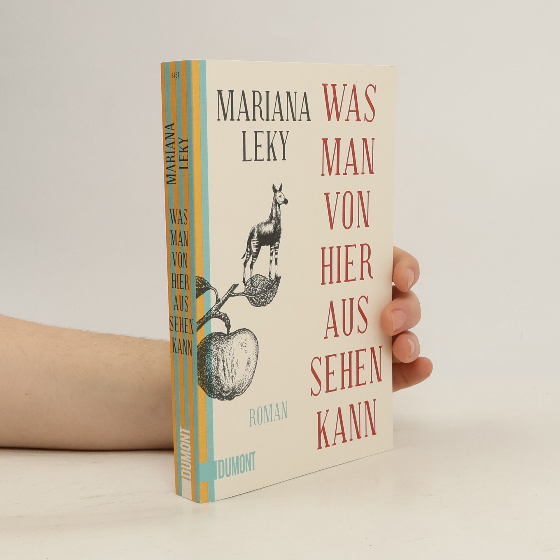 Mariana Leky Was man von hier aus sehen kann