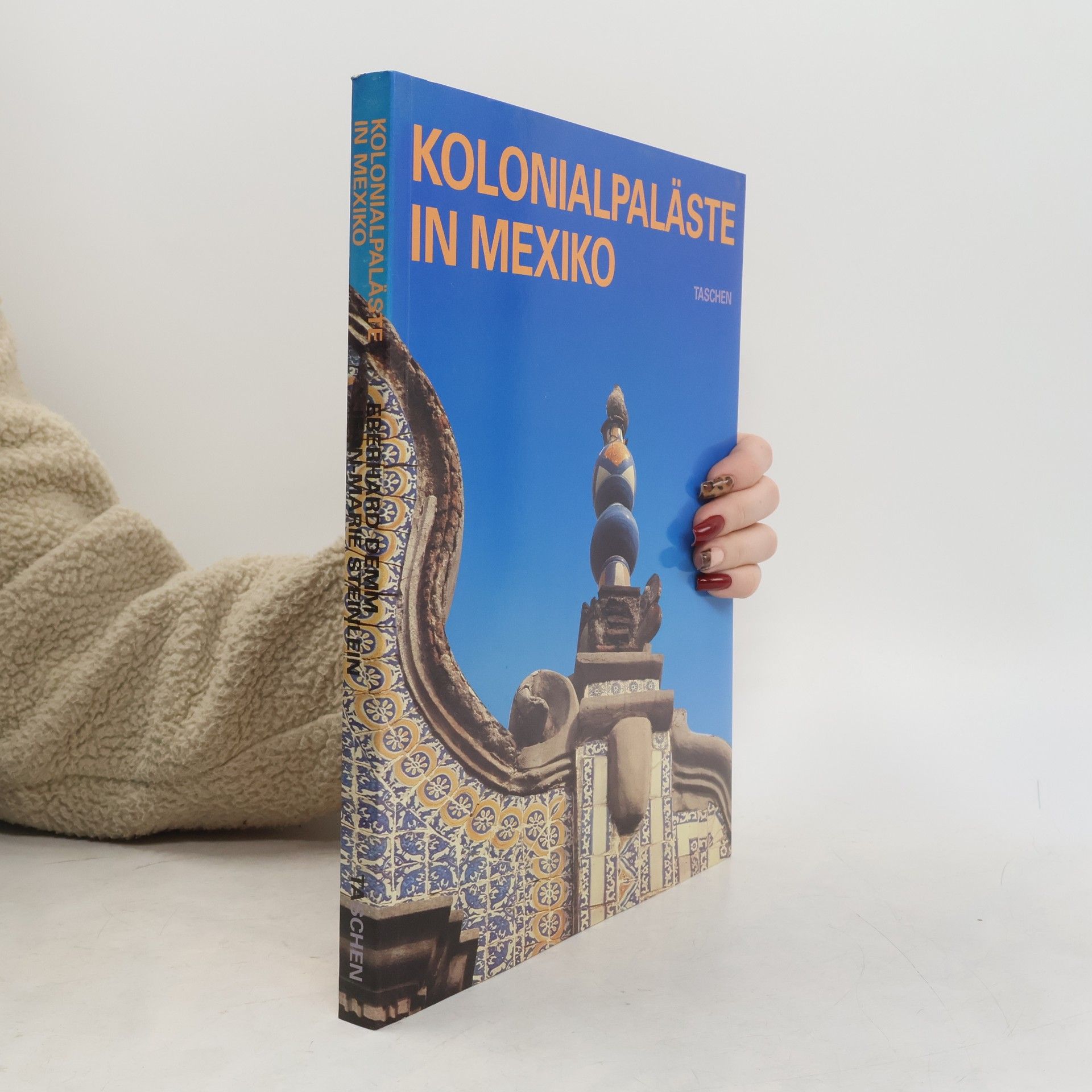 Eberhard Demm Spanische Kolonialpaläste in Mexiko