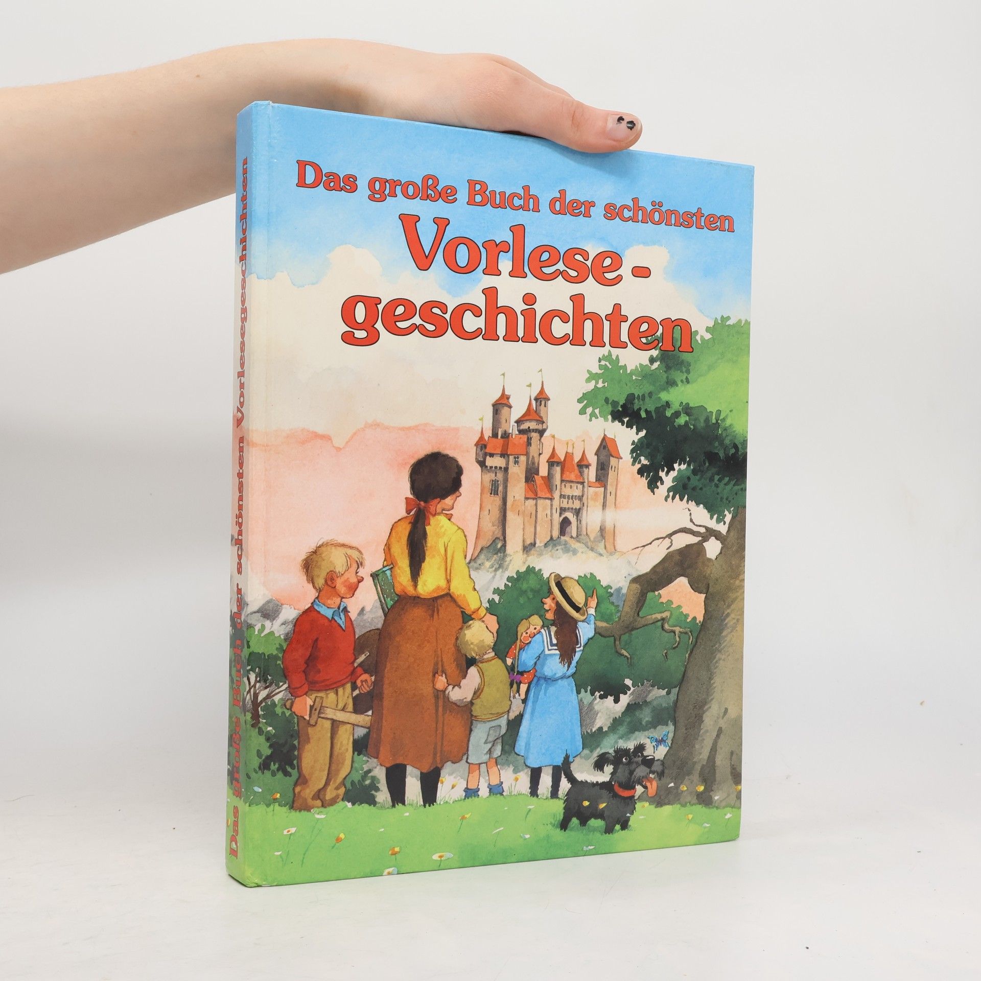 Netti van Dok Das grosse Buch der schönsten Vorlese-geschichten