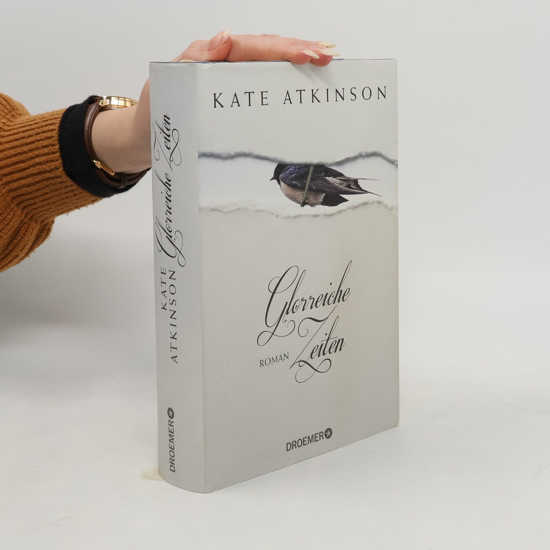 Kate Atkinson Glorreiche Zeiten