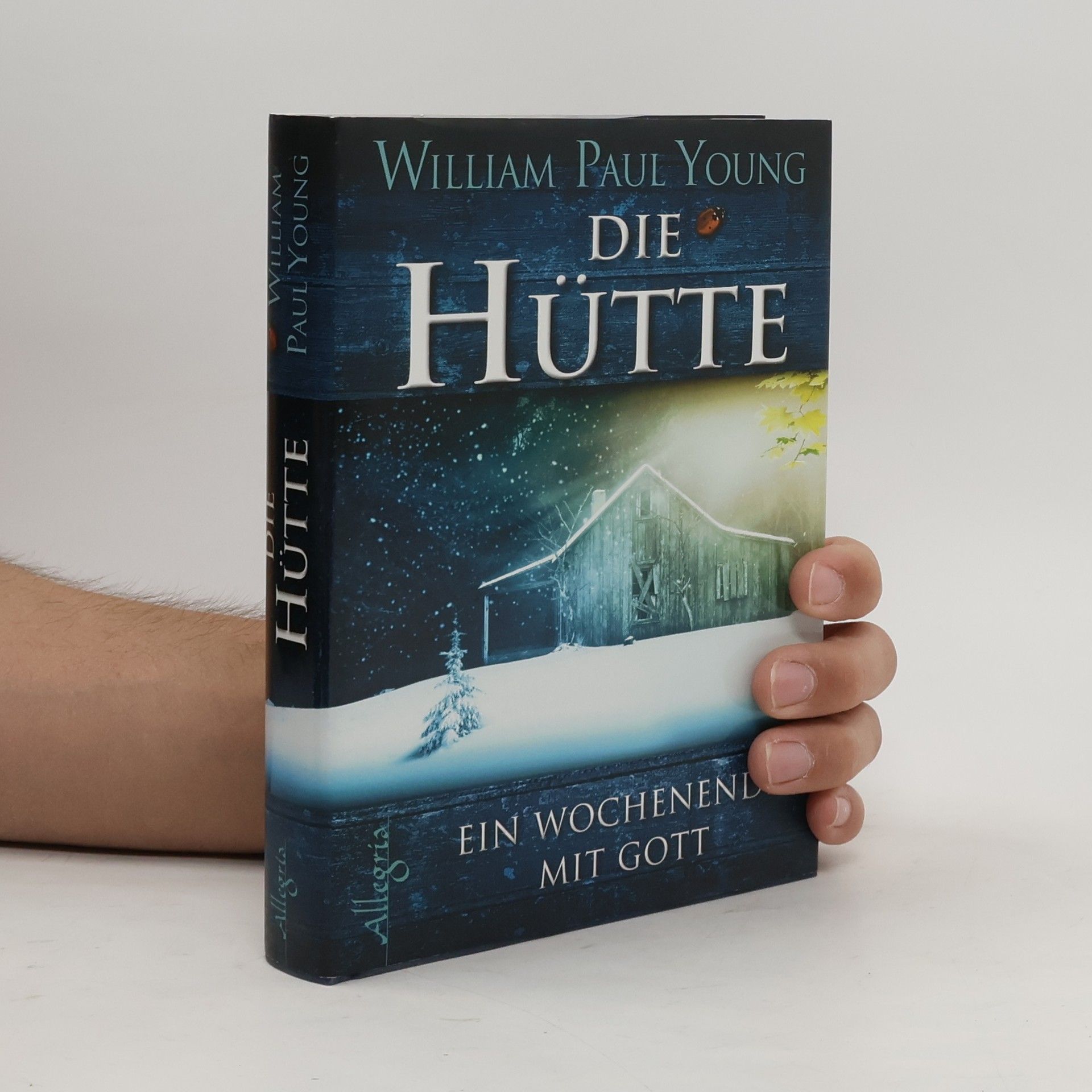 William P. Young Die Hütte