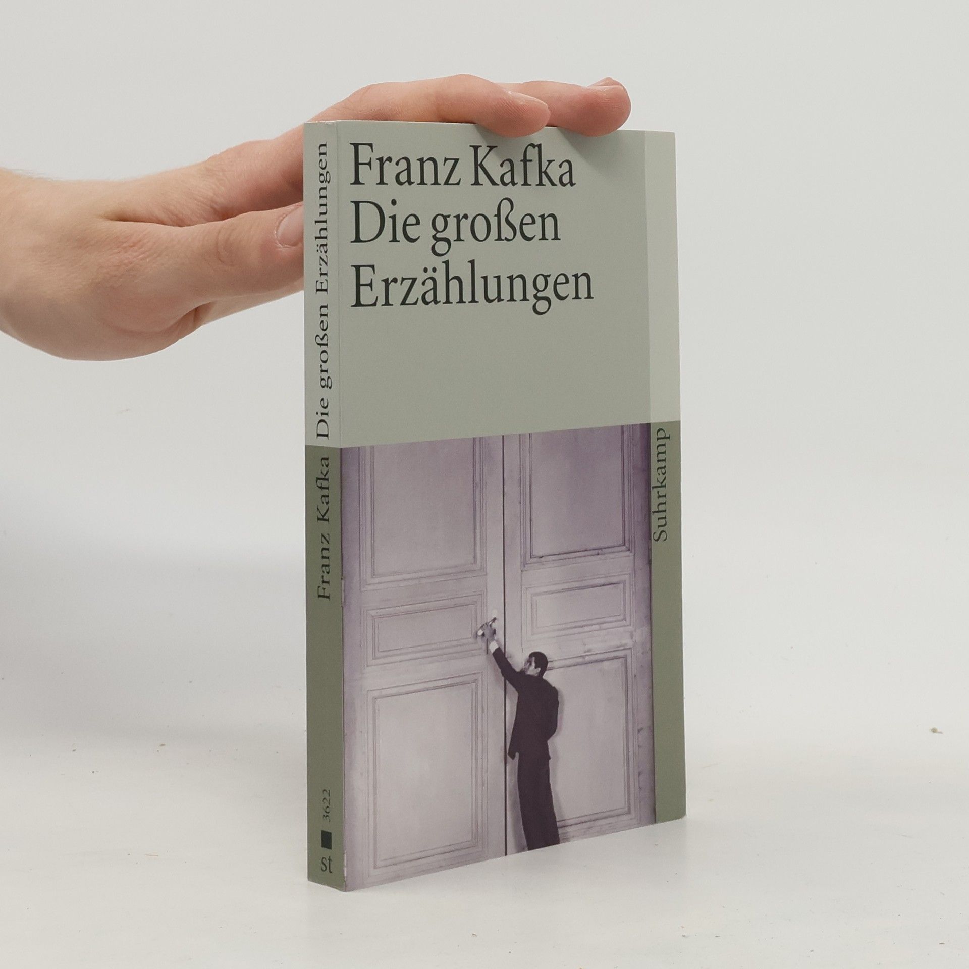 Franz Kafka Die großen Erzählungen