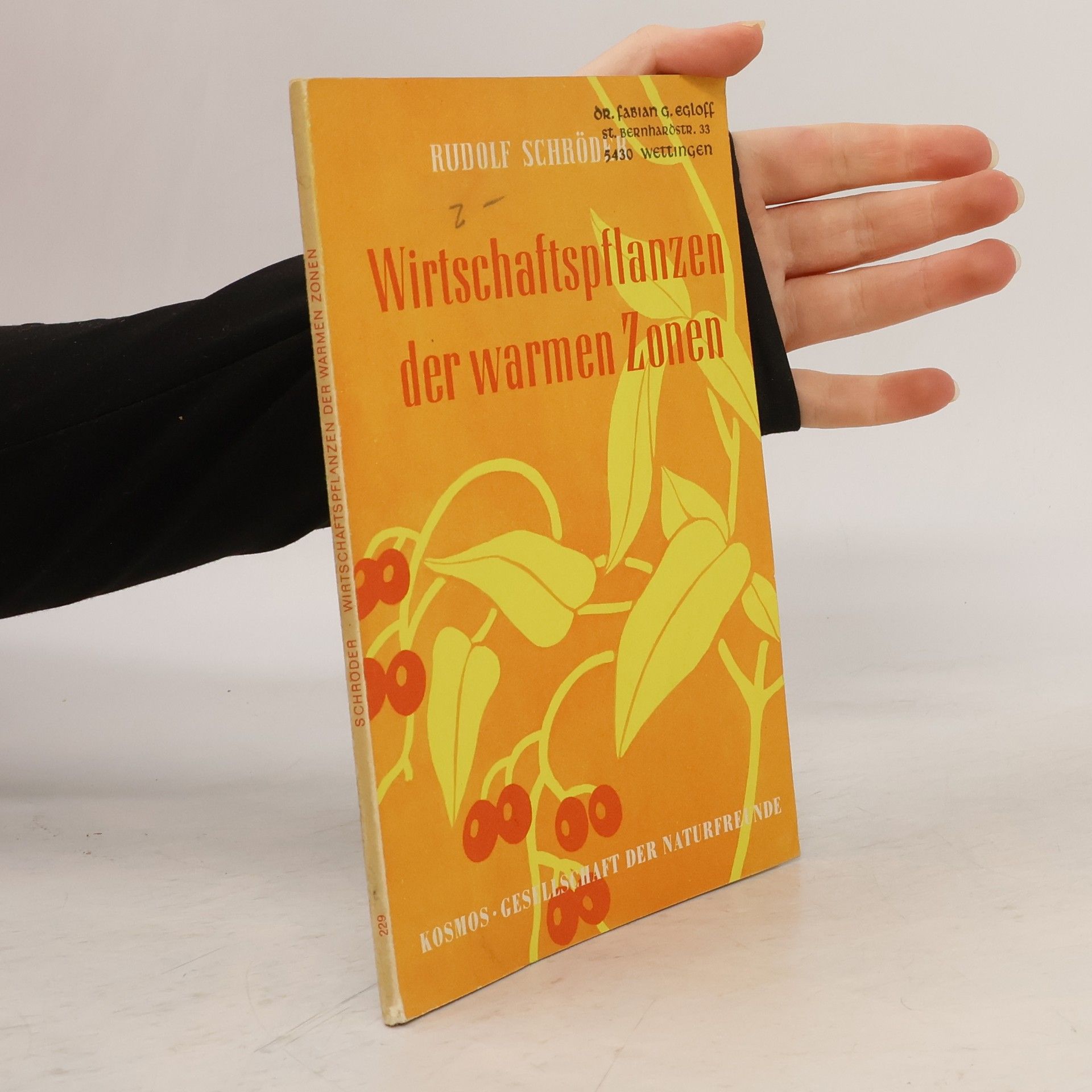 Collectif d'auteurs Wirtschaftspflanzen der warmen Zonen