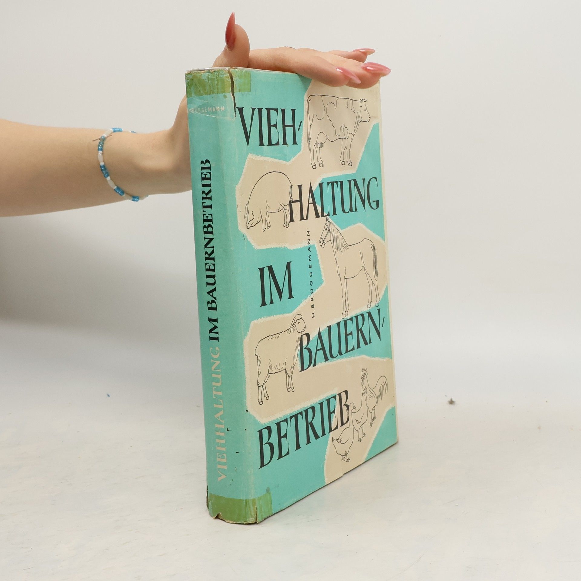 Hans Brüggemann Viehhaltung im Bauernbetrieb