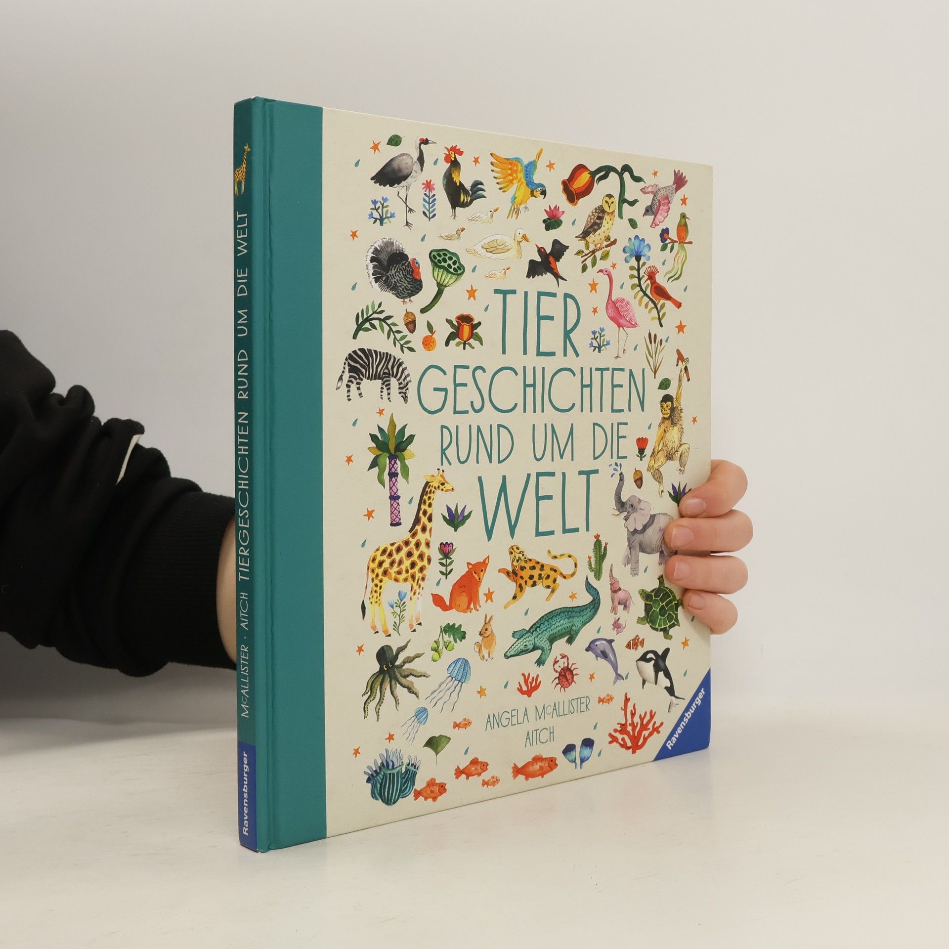 Angela McAllister Tiergeschichten rund um die Welt