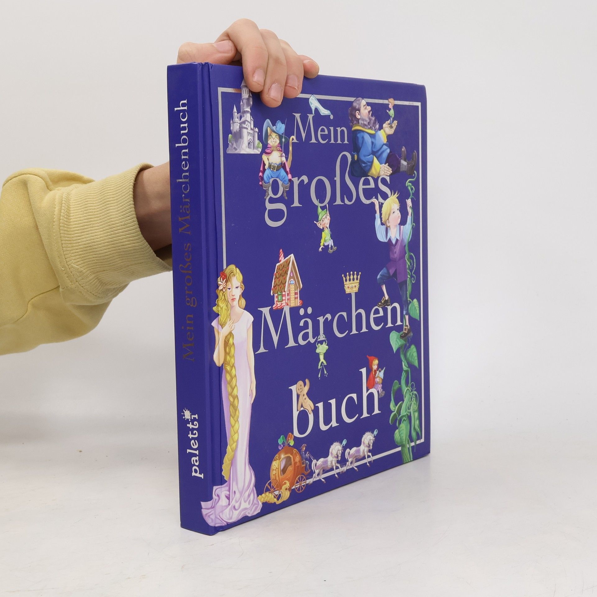 Autores varios Mein Großes Märchenbuch