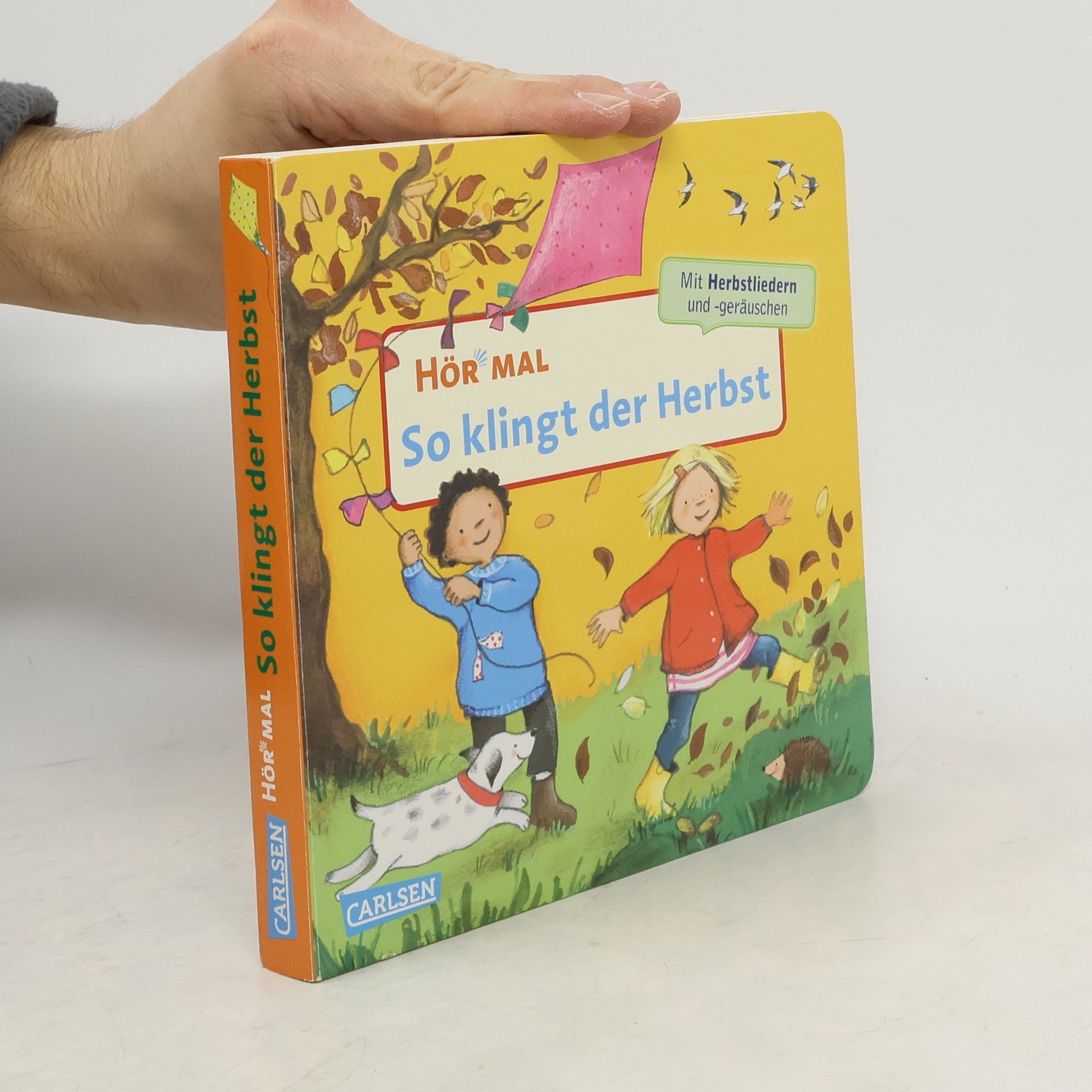 Miriam Cordes So klingt der Herbst / Hör mal (Soundbuch) Bd.4