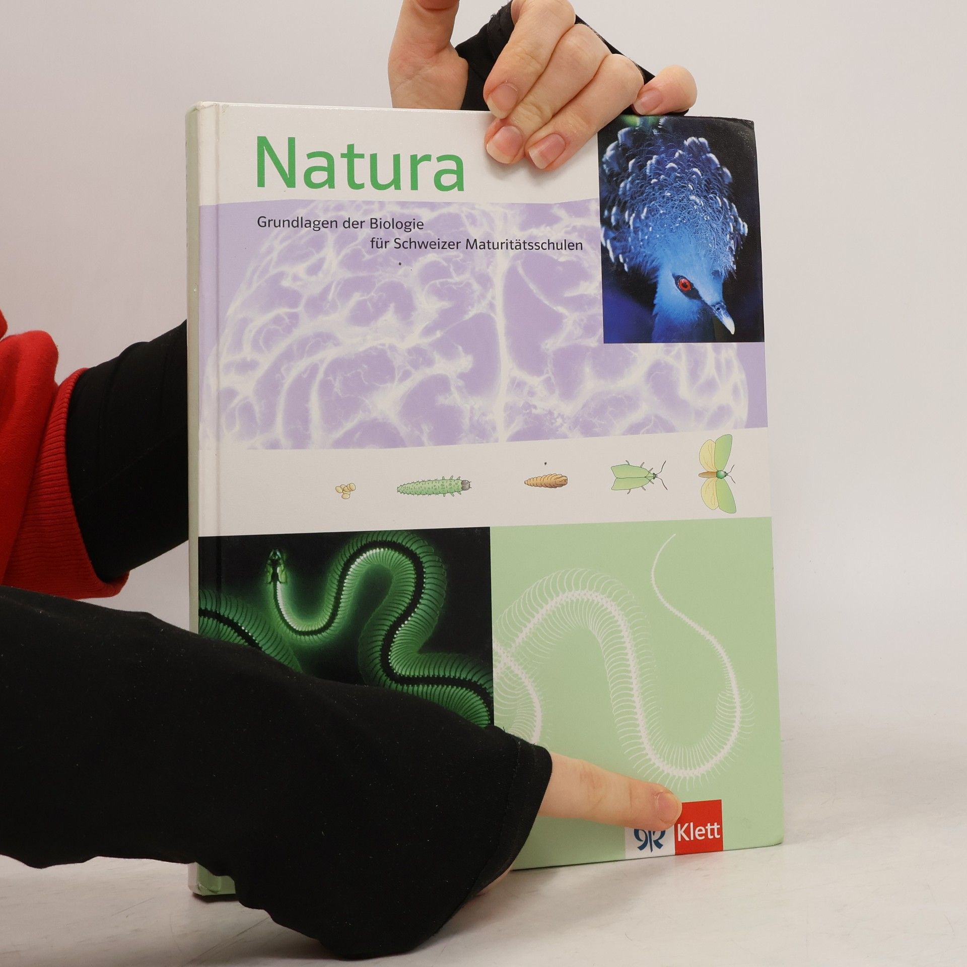 Natura - Ausgabe Schweiz: Grundlagen der Biologie für Schweizer Maturitätsschulen
