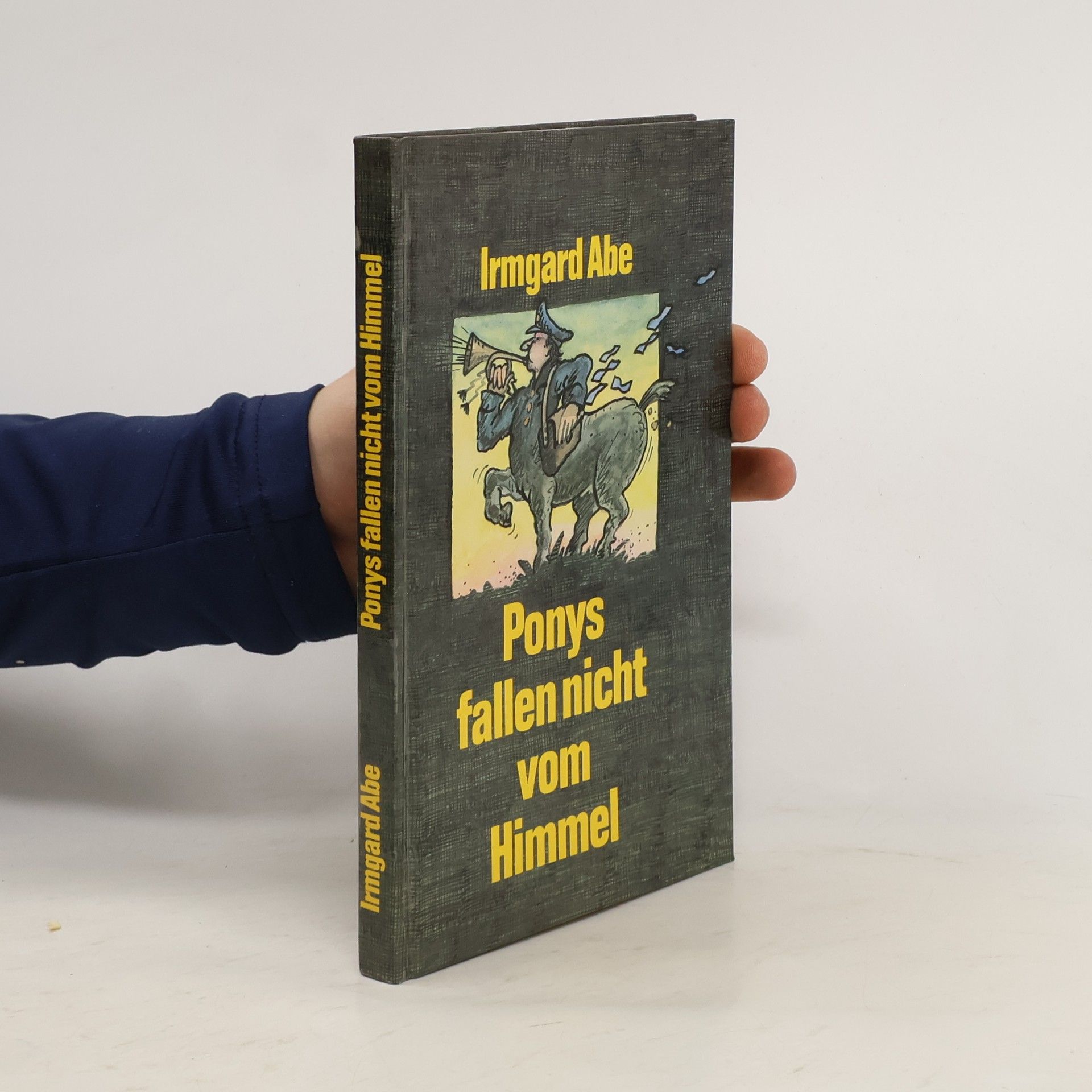 Irmgard Abé Ponys fallen nicht vom Himmel