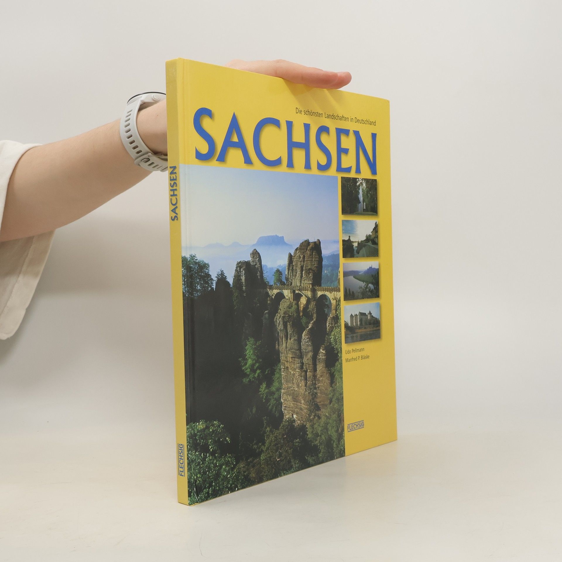 Udo Pellmann Sachsen