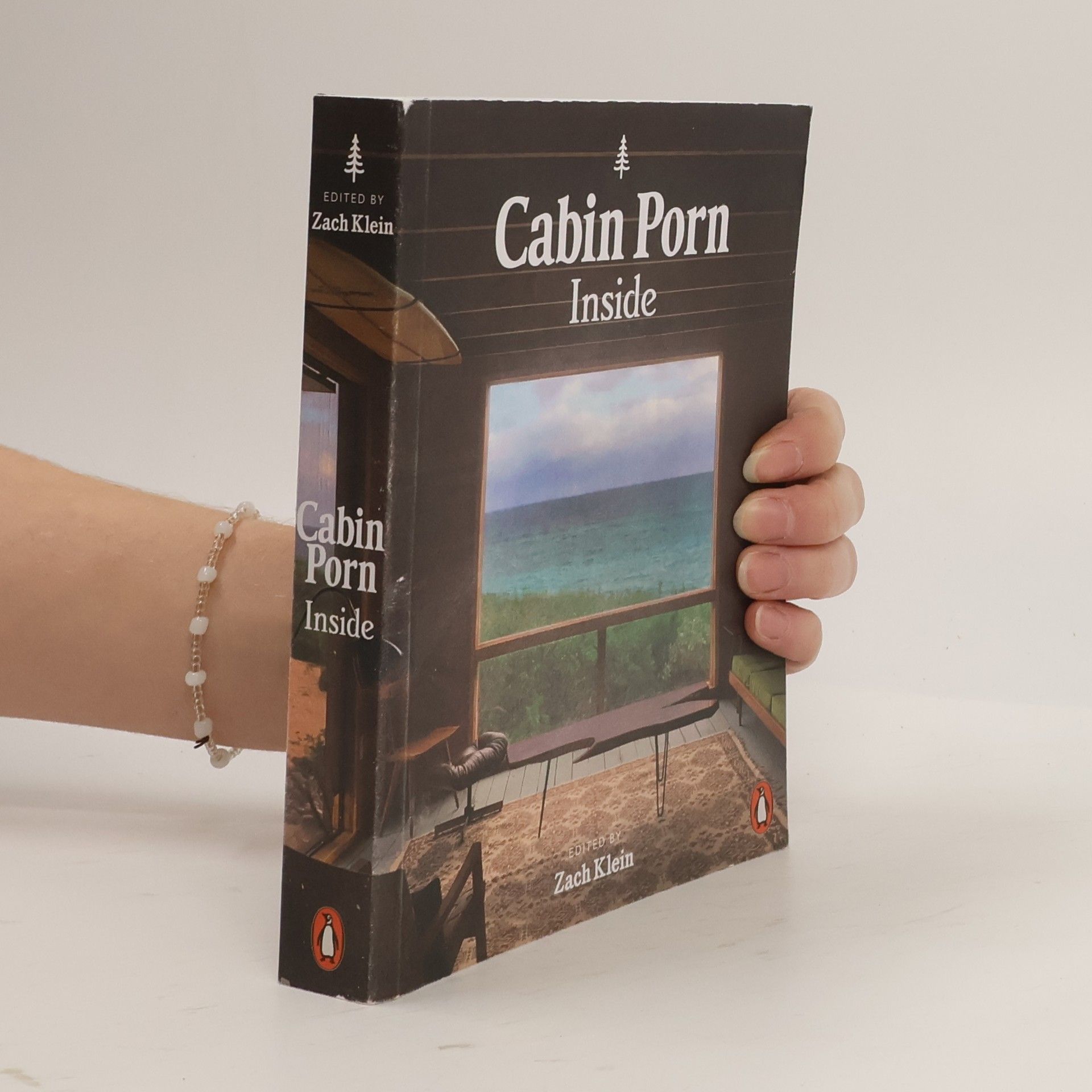 Zach Klein Cabin Porn: Inside