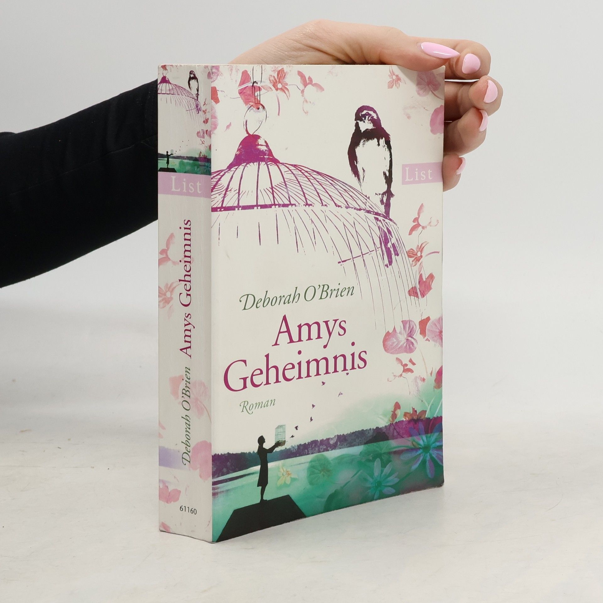 Deborah O. Brien Amys Geheimnis